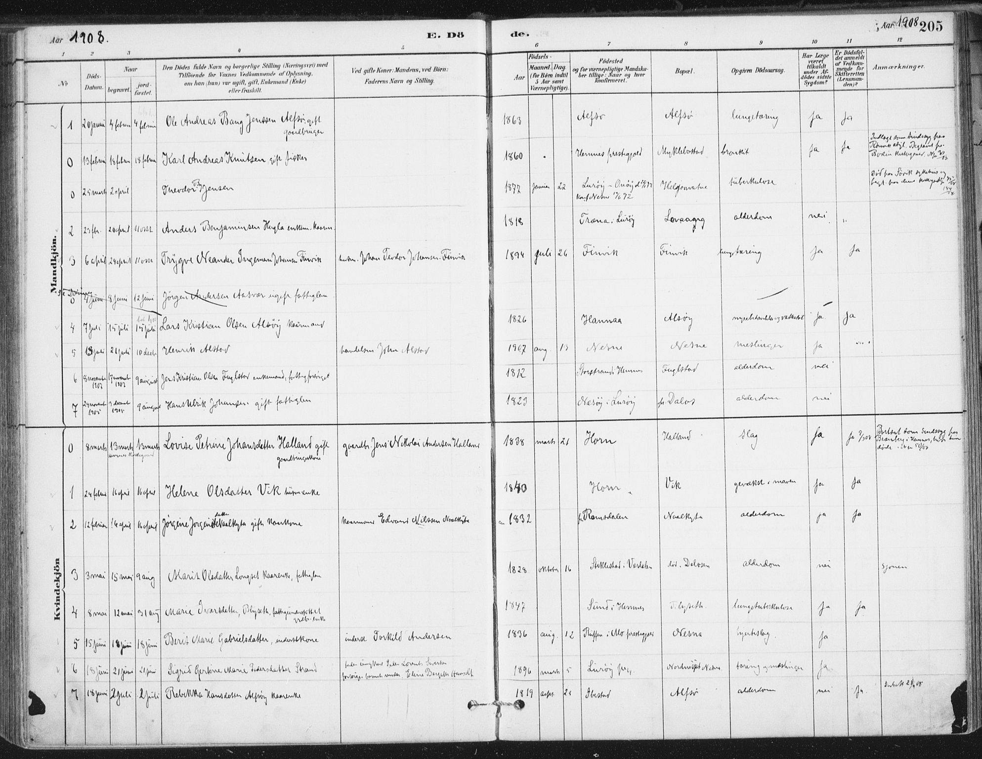 Ministerialprotokoller, klokkerbøker og fødselsregistre - Nordland, SAT/A-1459/838/L0553: Ministerialbok nr. 838A11, 1880-1910, s. 205