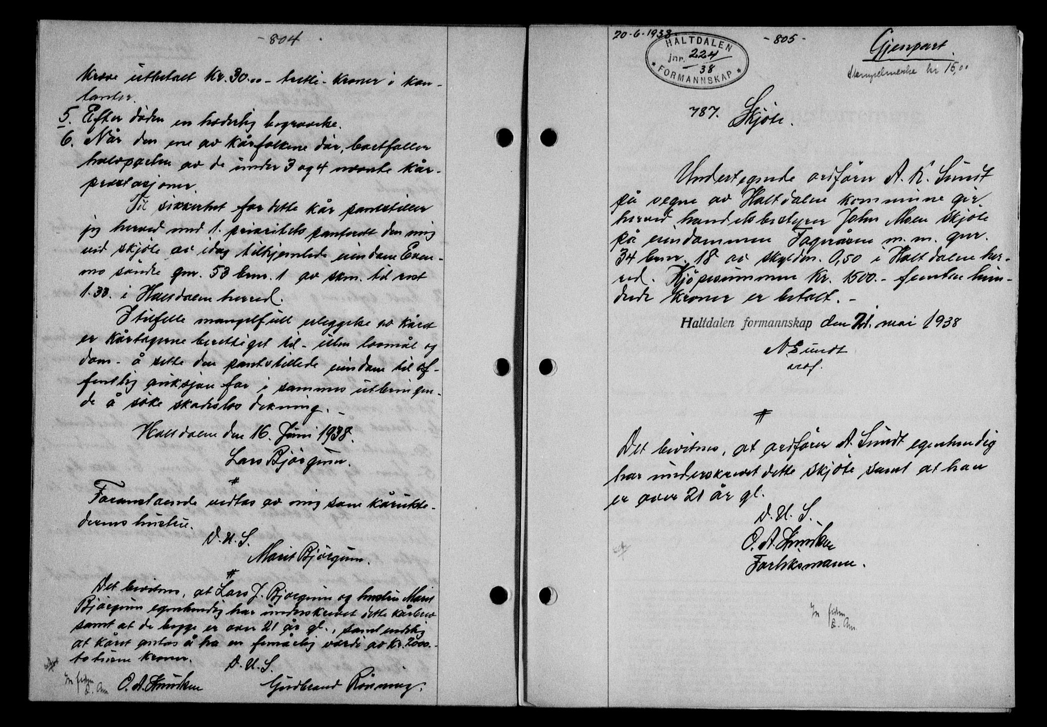 Gauldal sorenskriveri, SAT/A-0014/1/2/2C/L0048: Pantebok nr. 51-52, 1937-1938, s. 804-805, Dagboknr: 787/1938