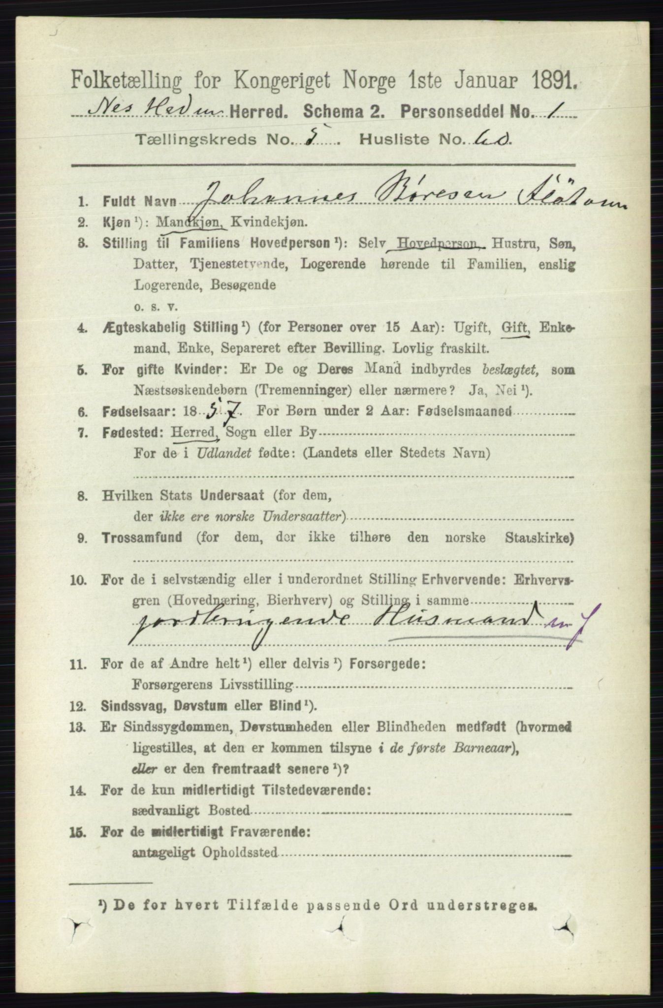 RA, Folketelling 1891 for 0411 Nes herred, 1891, s. 2990