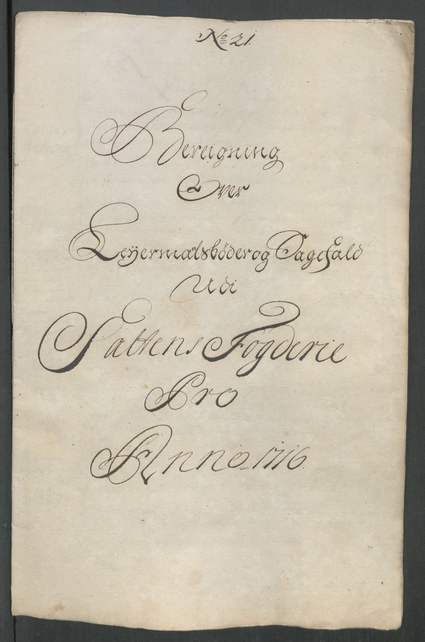 Rentekammeret inntil 1814, Reviderte regnskaper, Fogderegnskap, RA/EA-4092/R66/L4586: Fogderegnskap Salten, 1716, s. 219