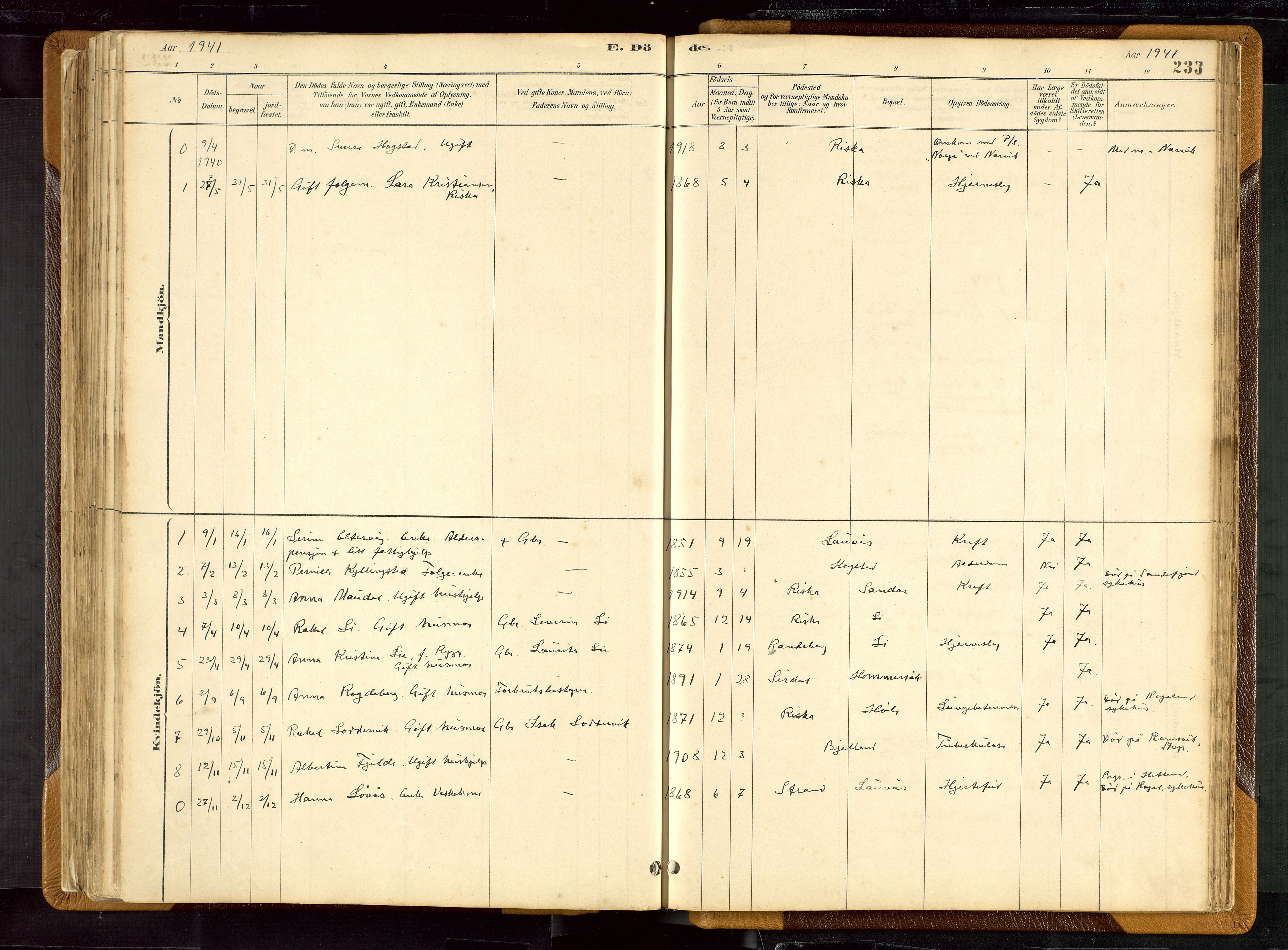 Hetland sokneprestkontor, SAST/A-101826/30/30BB/L0007: Klokkerbok nr. B 7, 1878-1910, s. 233