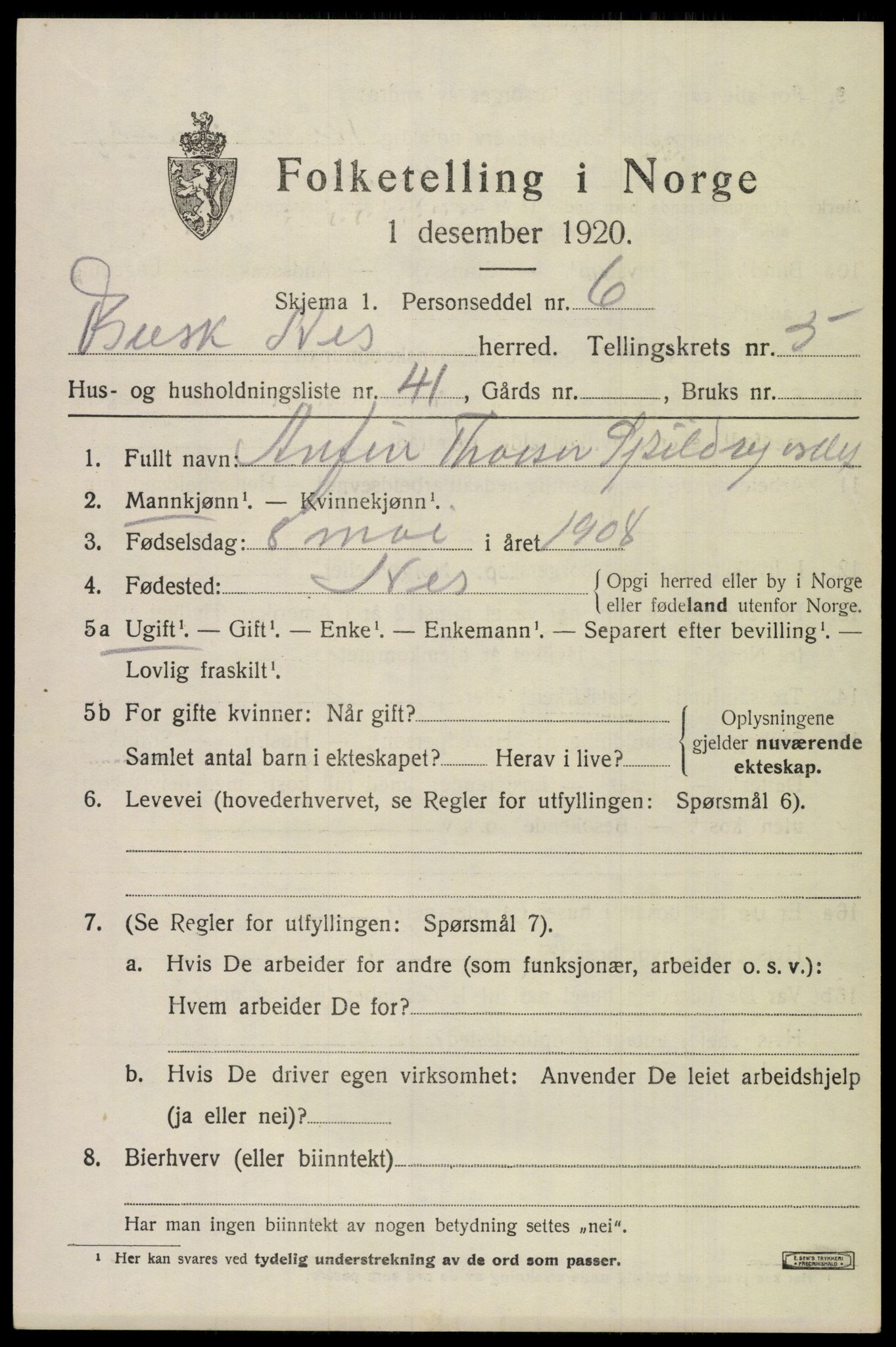 SAKO, Folketelling 1920 for 0616 Nes herred, 1920, s. 2868