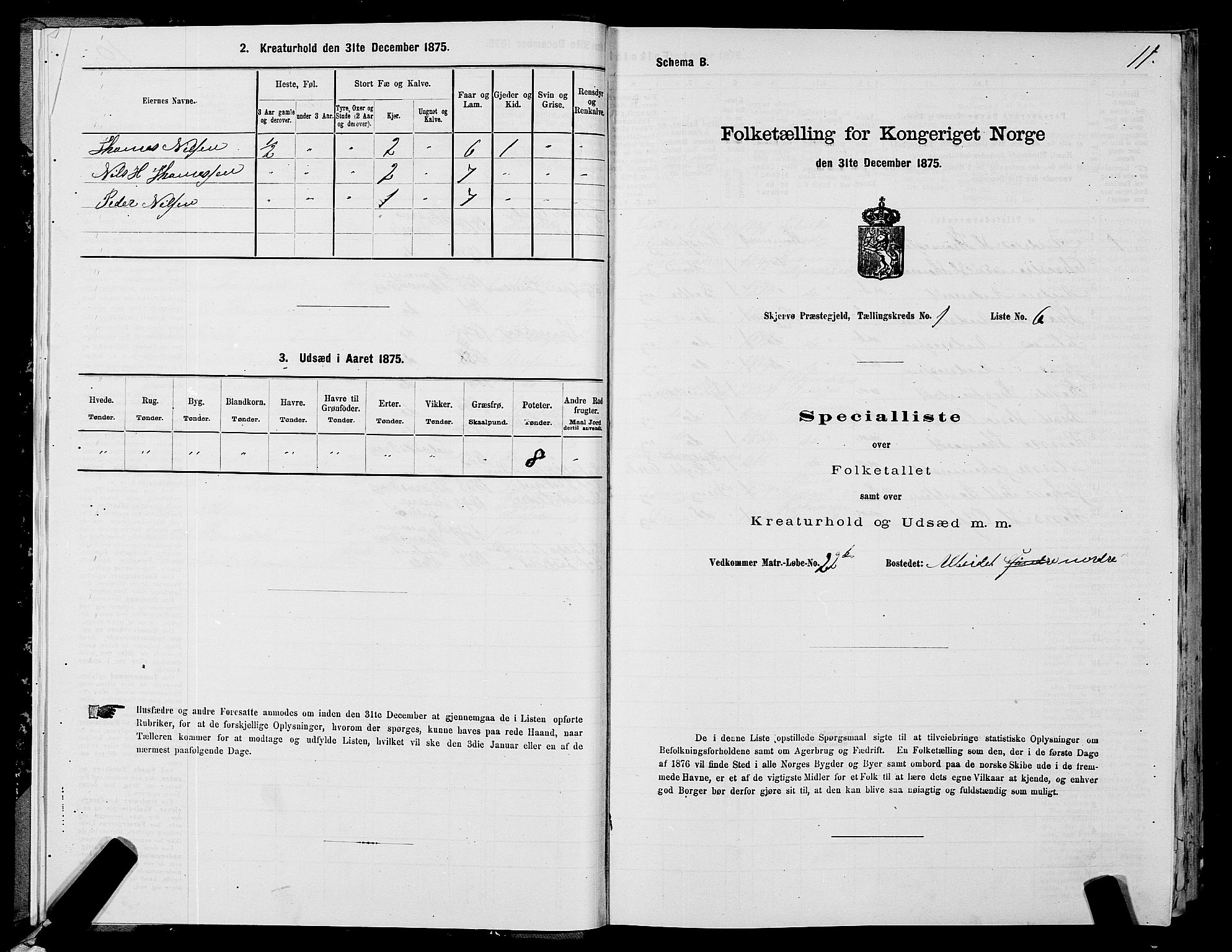 SATØ, Folketelling 1875 for 1941P Skjervøy prestegjeld, 1875, s. 1011