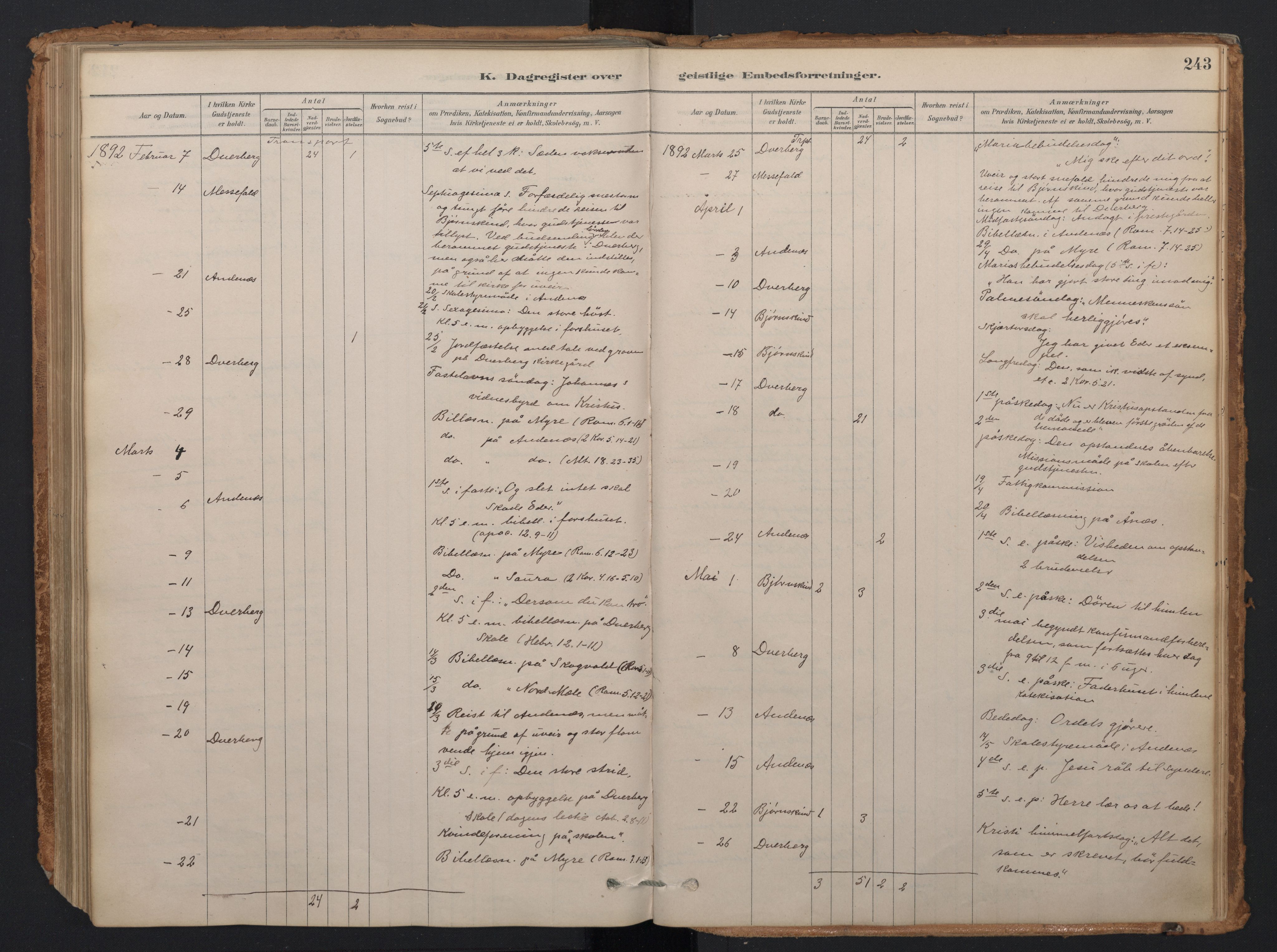 Ministerialprotokoller, klokkerbøker og fødselsregistre - Nordland, AV/SAT-A-1459/897/L1399: Ministerialbok nr. 897A06, 1881-1896, s. 243