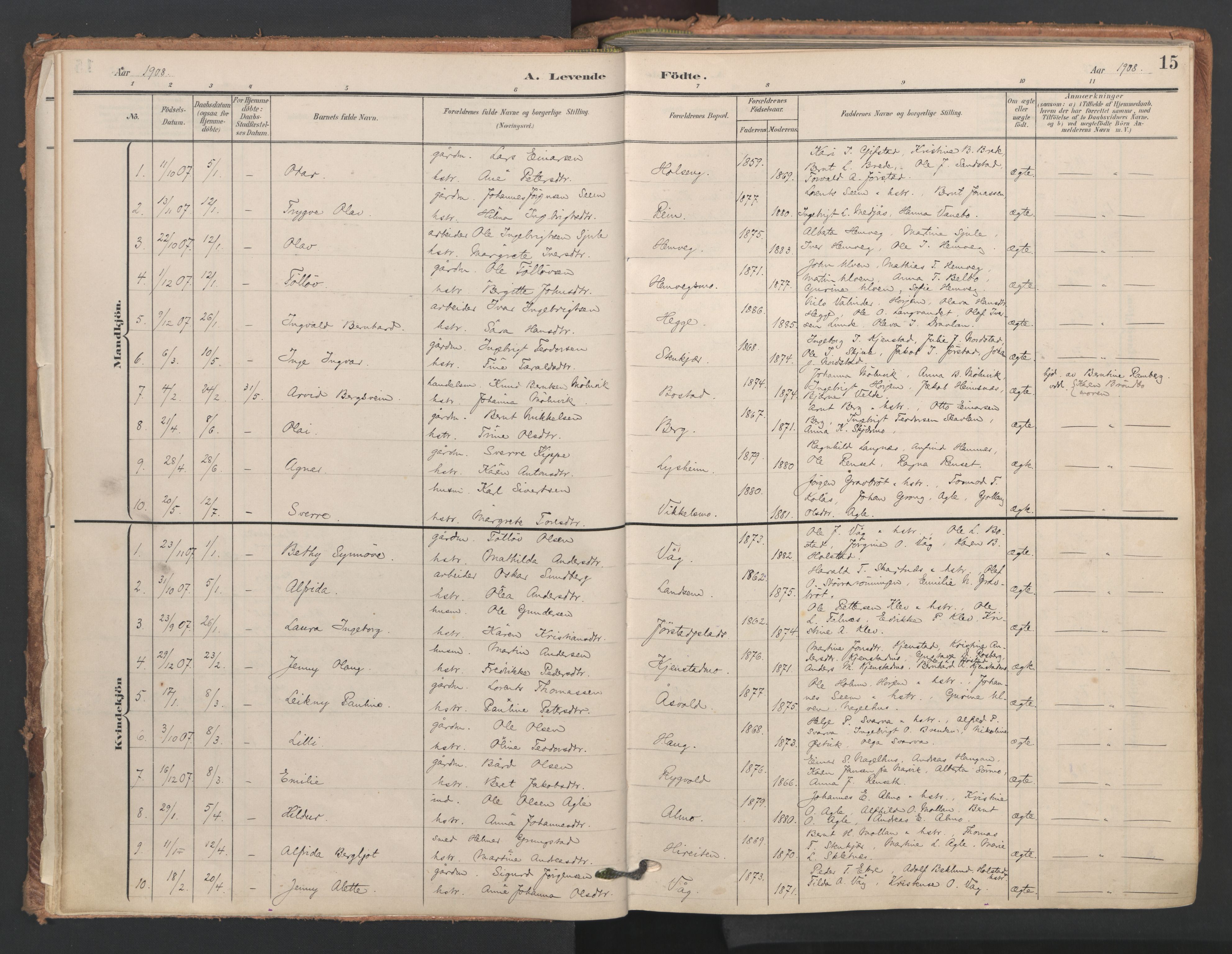 Ministerialprotokoller, klokkerbøker og fødselsregistre - Nord-Trøndelag, AV/SAT-A-1458/749/L0477: Ministerialbok nr. 749A11, 1902-1927, s. 15