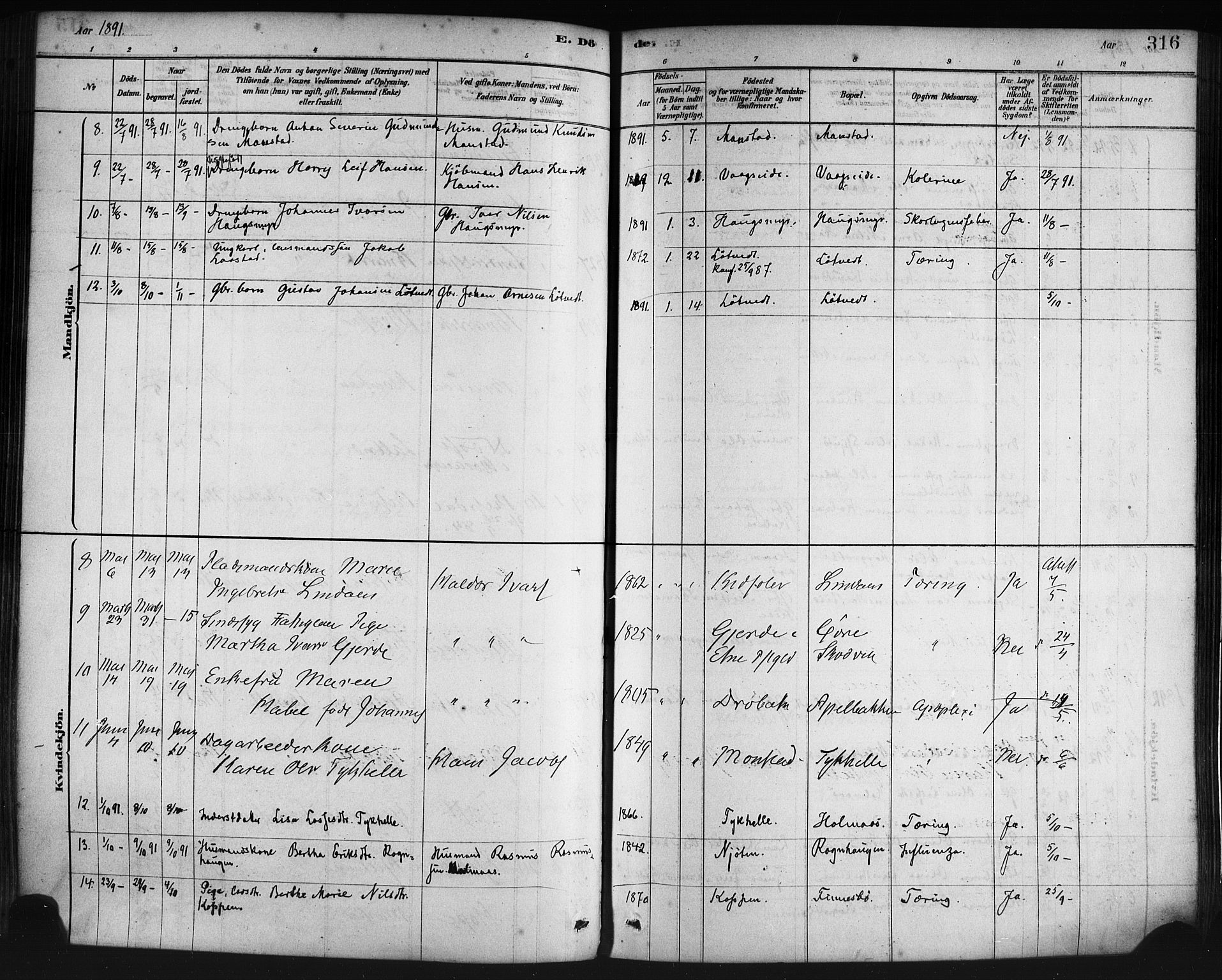 Lindås Sokneprestembete, AV/SAB-A-76701/H/Haa/Haaa/L0019: Ministerialbok nr. A 19, 1878-1912, s. 316