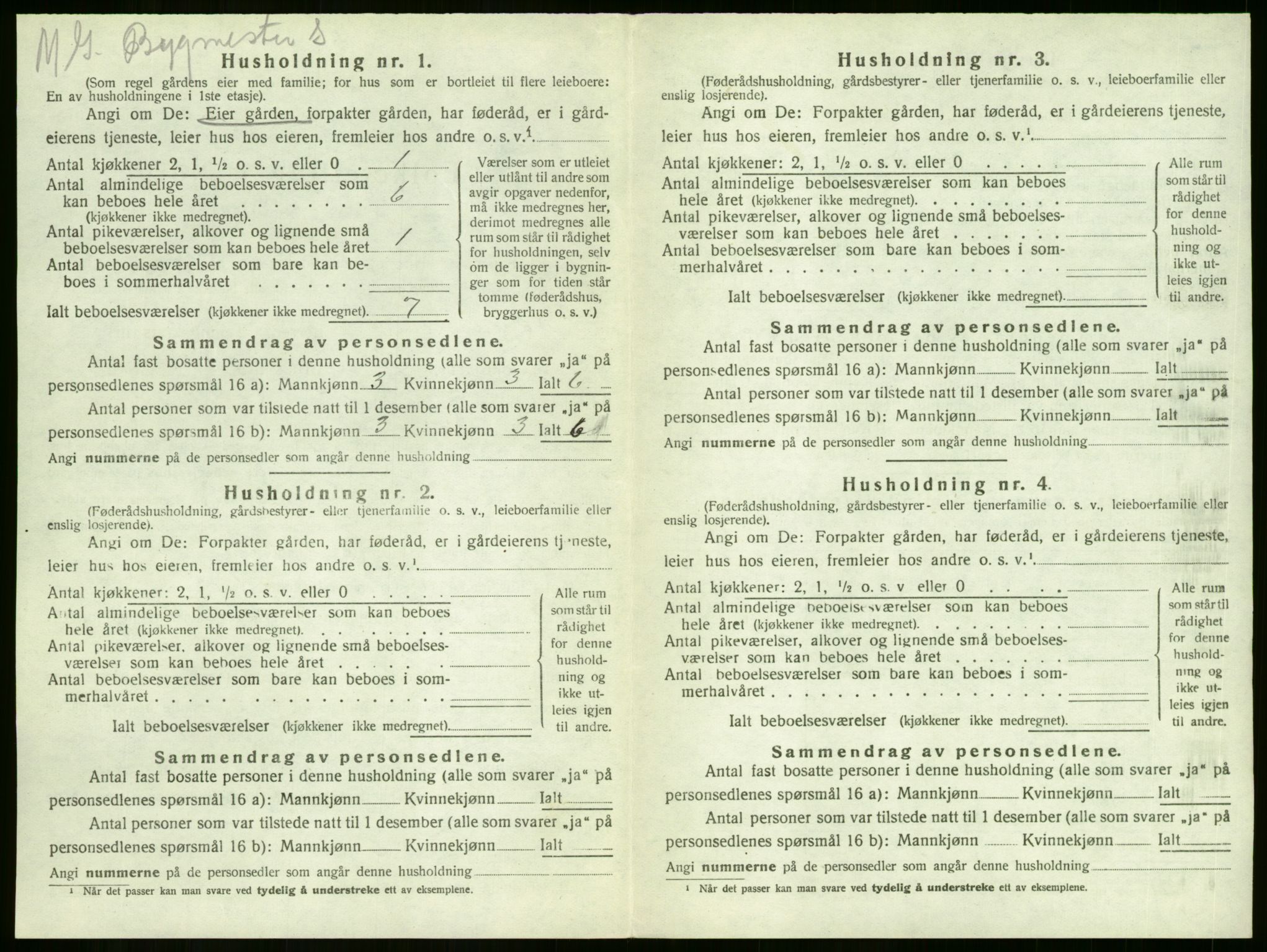 SAKO, Folketelling 1920 for 0724 Sandeherred herred, 1920, s. 1133