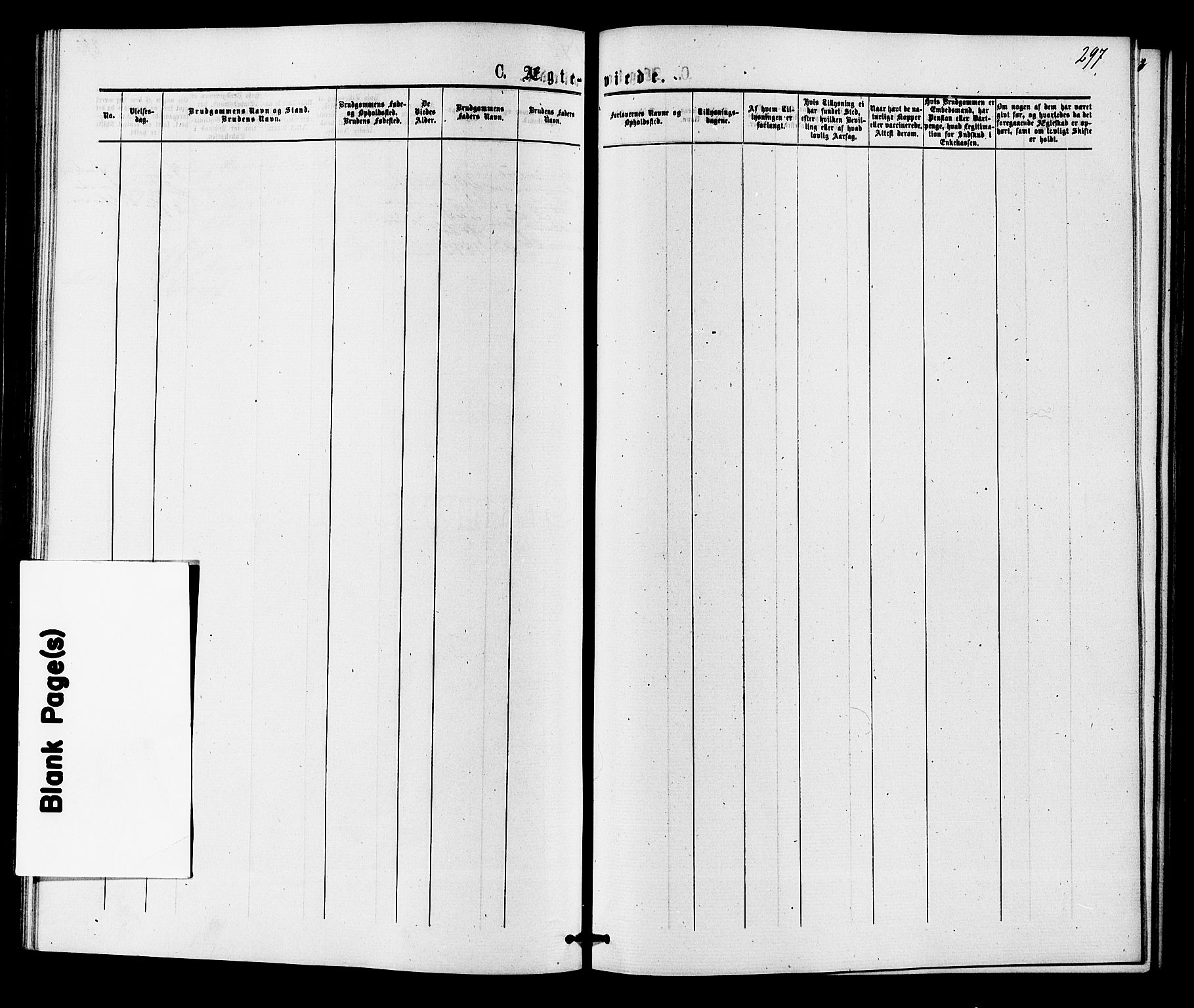 Hole kirkebøker, SAKO/A-228/F/Fa/L0007: Ministerialbok nr. I 7, 1873-1877, s. 297