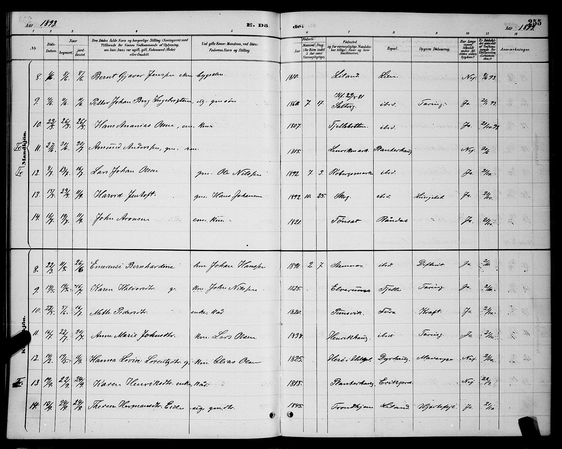 Ministerialprotokoller, klokkerbøker og fødselsregistre - Nordland, AV/SAT-A-1459/863/L0914: Klokkerbok nr. 863C04, 1886-1897, s. 255