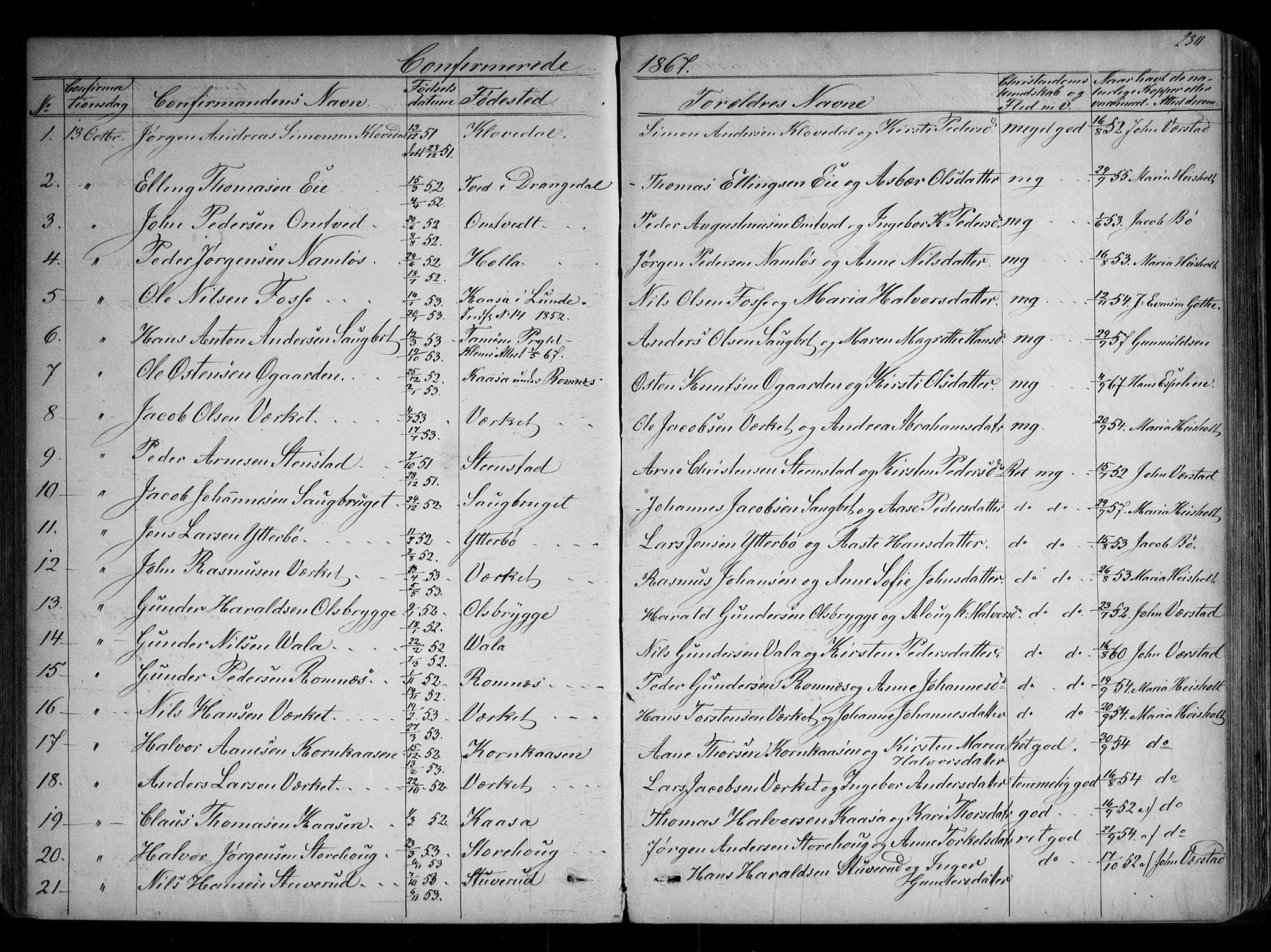 Holla kirkebøker, AV/SAKO-A-272/G/Ga/L0004: Klokkerbok nr. I 4, 1867-1890, s. 230