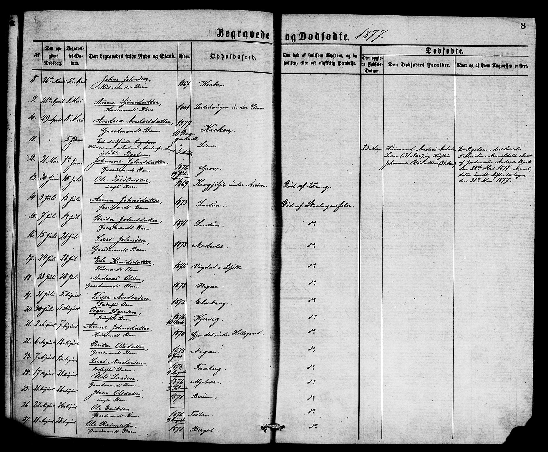 Jostedal sokneprestembete, AV/SAB-A-80601/H/Haa/Haaa/L0009: Ministerialbok nr. A 9, 1876-1886, s. 8