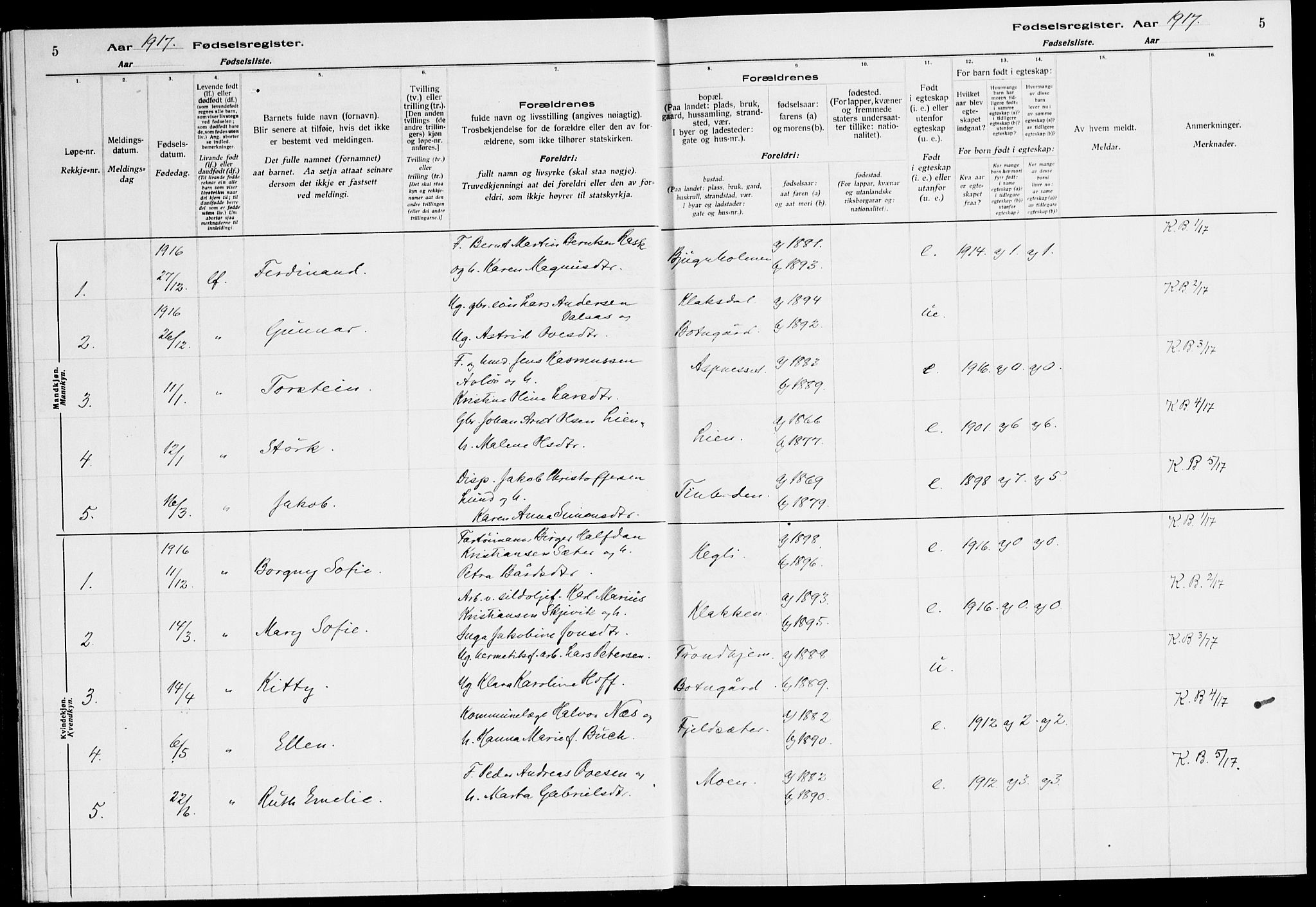 Ministerialprotokoller, klokkerbøker og fødselsregistre - Sør-Trøndelag, SAT/A-1456/651/L0650: Fødselsregister nr. 651.II.4.1, 1916-1923, s. 5