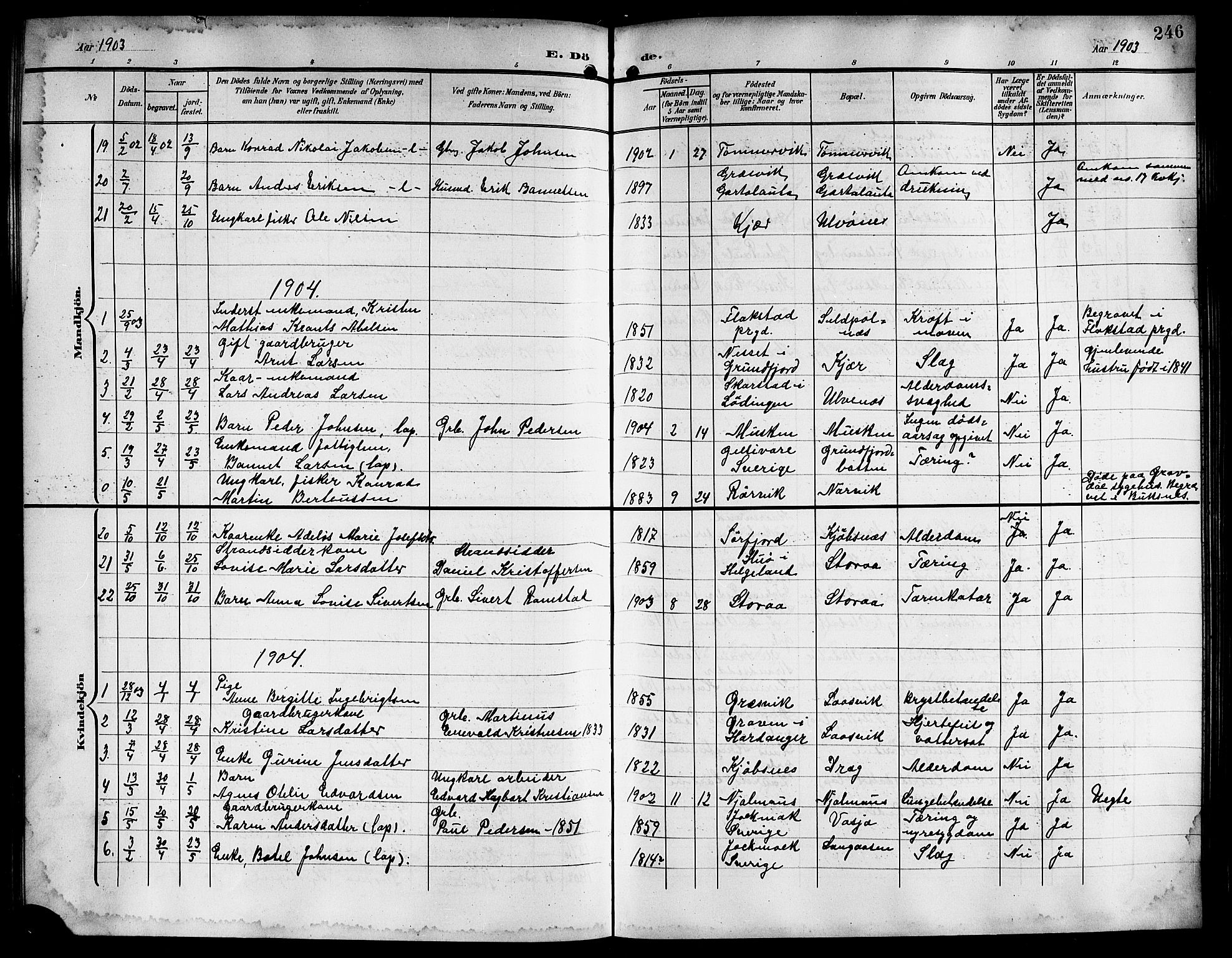 Ministerialprotokoller, klokkerbøker og fødselsregistre - Nordland, SAT/A-1459/861/L0877: Klokkerbok nr. 861C03, 1903-1919, s. 246