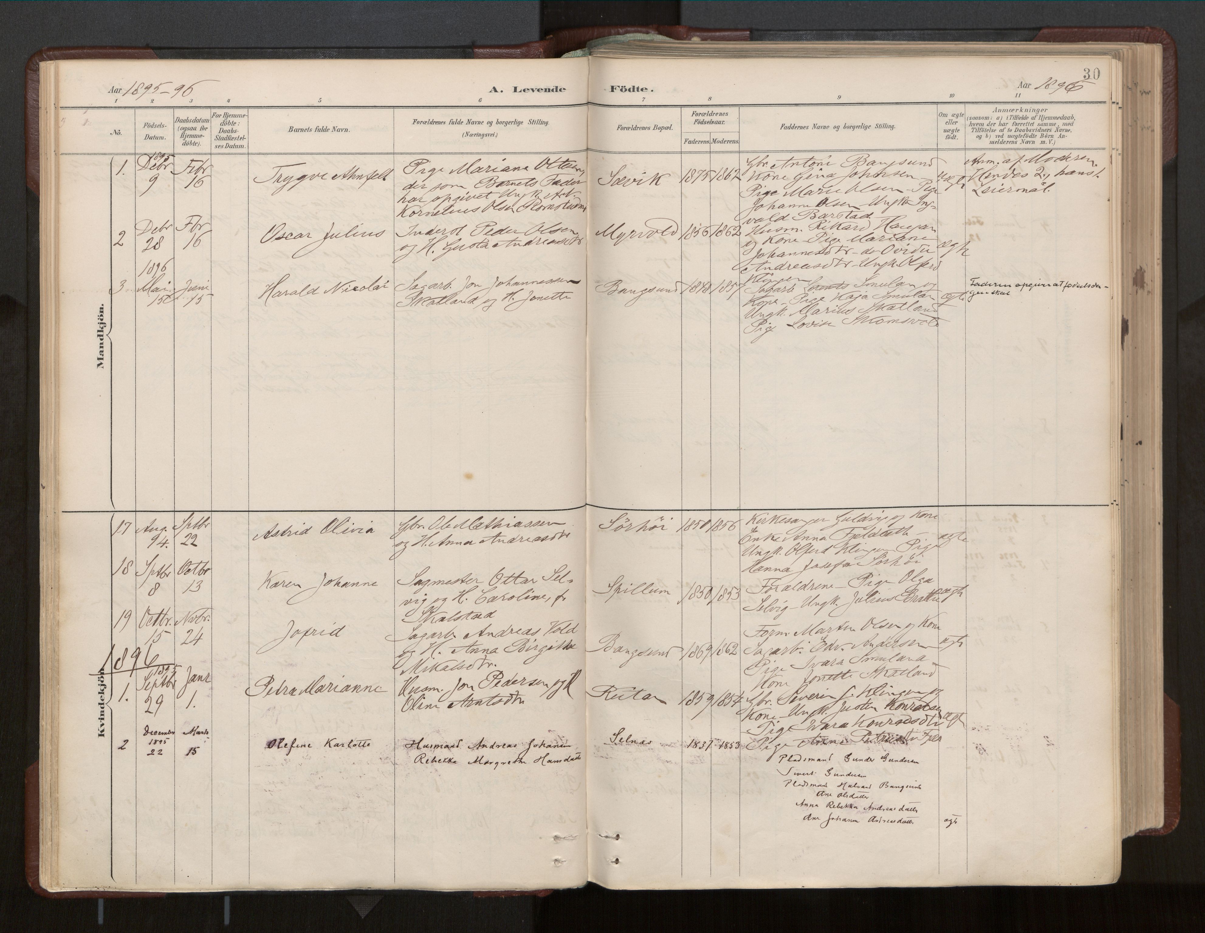 Ministerialprotokoller, klokkerbøker og fødselsregistre - Nord-Trøndelag, AV/SAT-A-1458/770/L0589: Ministerialbok nr. 770A03, 1887-1929, s. 30