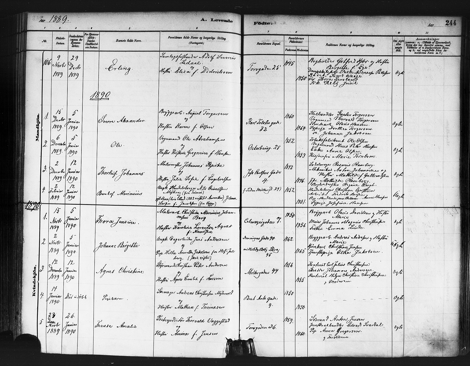 Jakob prestekontor Kirkebøker, AV/SAO-A-10850/F/Fa/L0003: Ministerialbok nr. 3, 1880-1895, s. 244