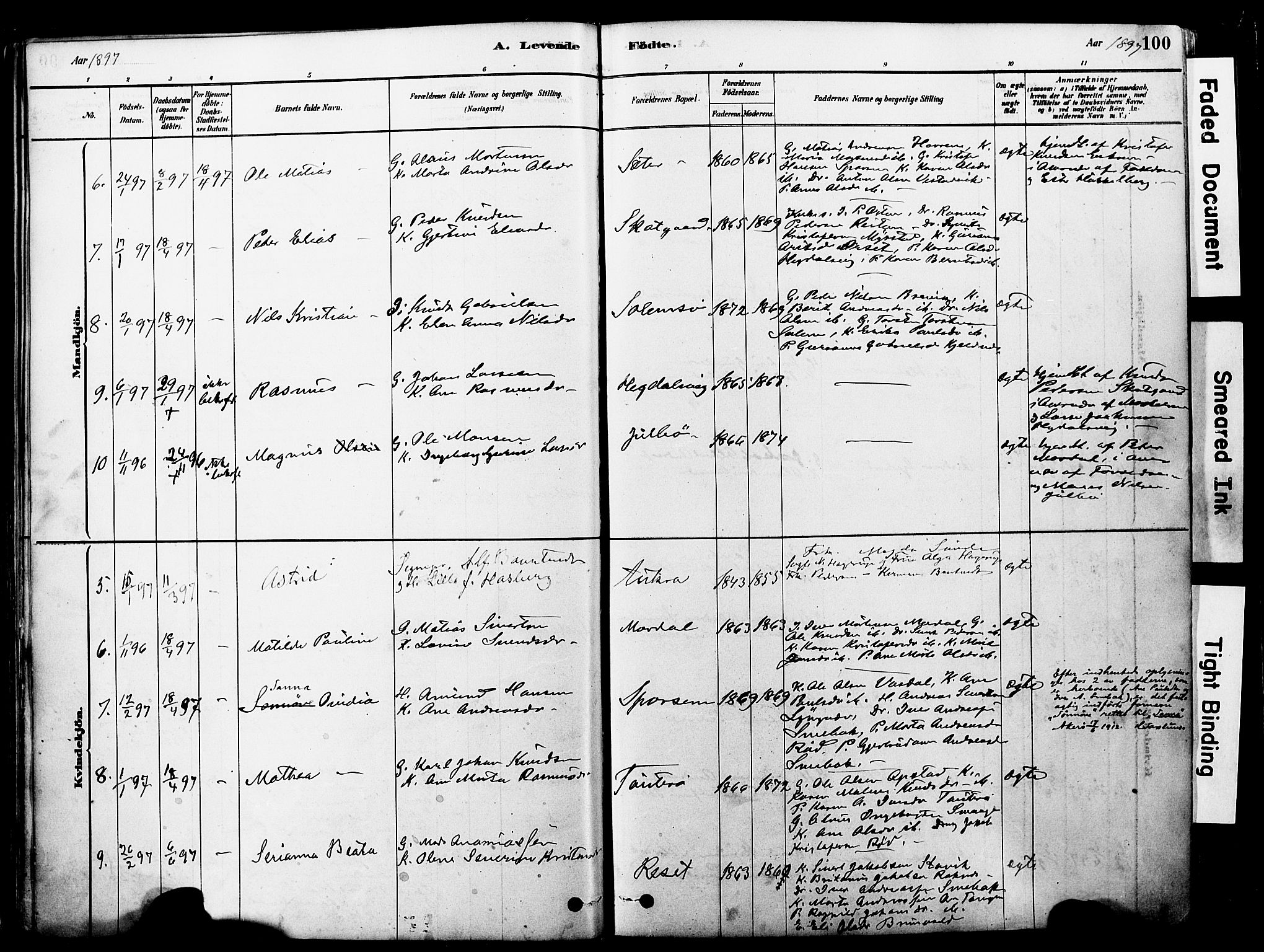 Ministerialprotokoller, klokkerbøker og fødselsregistre - Møre og Romsdal, SAT/A-1454/560/L0721: Ministerialbok nr. 560A05, 1878-1917, s. 100