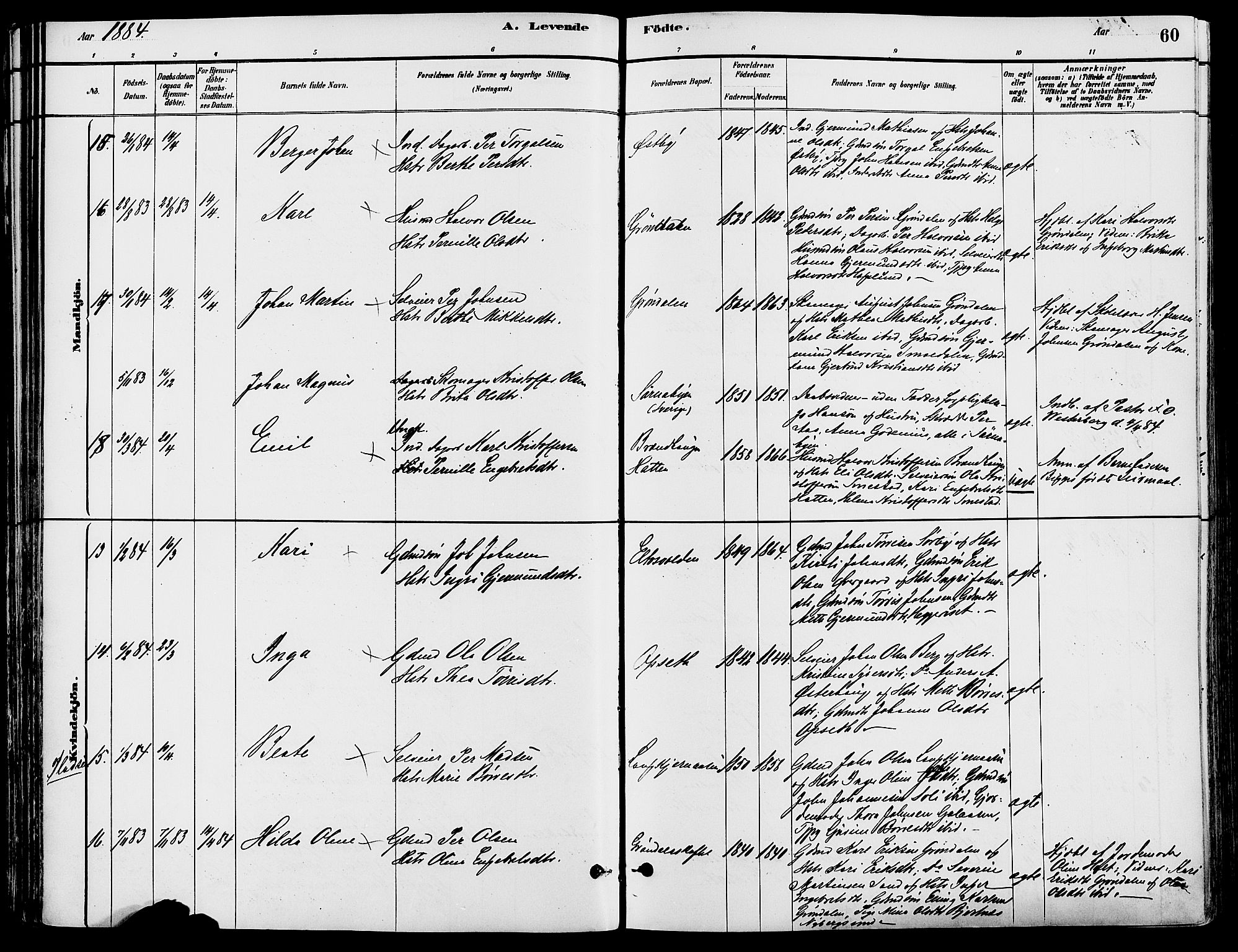 Trysil prestekontor, AV/SAH-PREST-046/H/Ha/Haa/L0008: Ministerialbok nr. 8, 1881-1897, s. 60