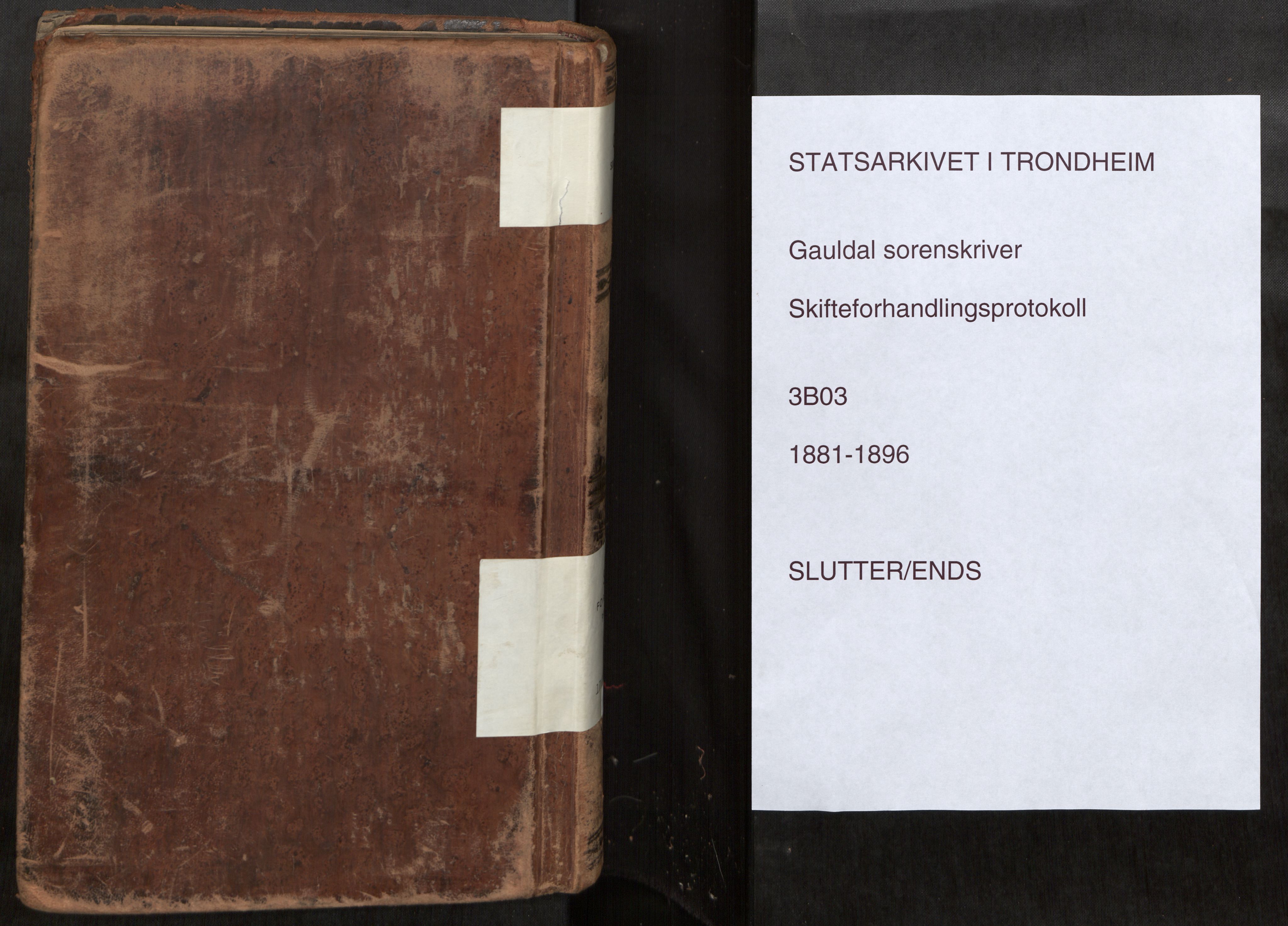 Gauldal sorenskriveri, SAT/A-0014/1/3/3B/L0003: Skiftebehandlingsprotokoll, 1881-1896