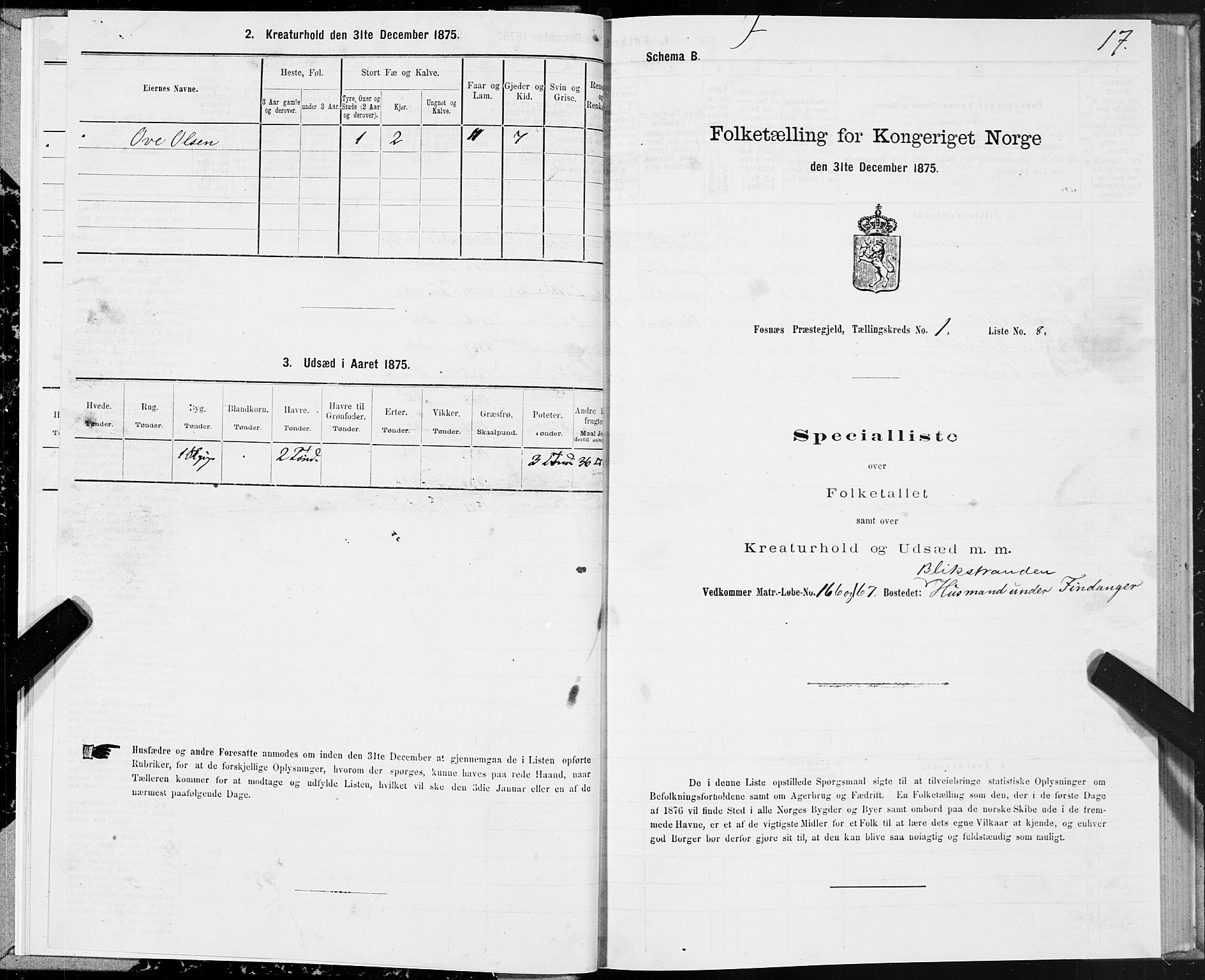 SAT, Folketelling 1875 for 1748P Fosnes prestegjeld, 1875, s. 1017