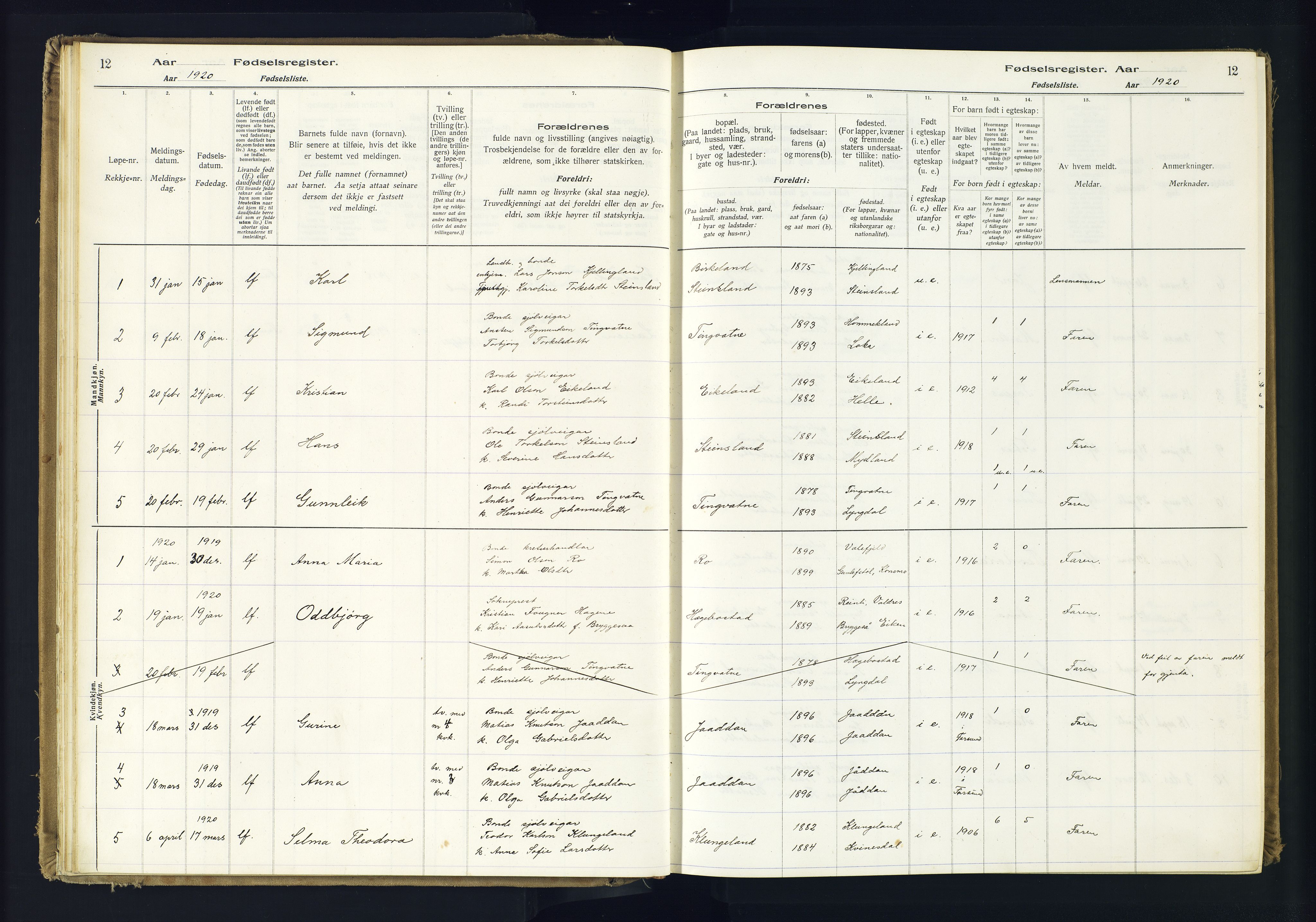 Hægebostad sokneprestkontor, SAK/1111-0024/J/Ja/L0001: Fødselsregister nr. II.6.7, 1916-1982, s. 12