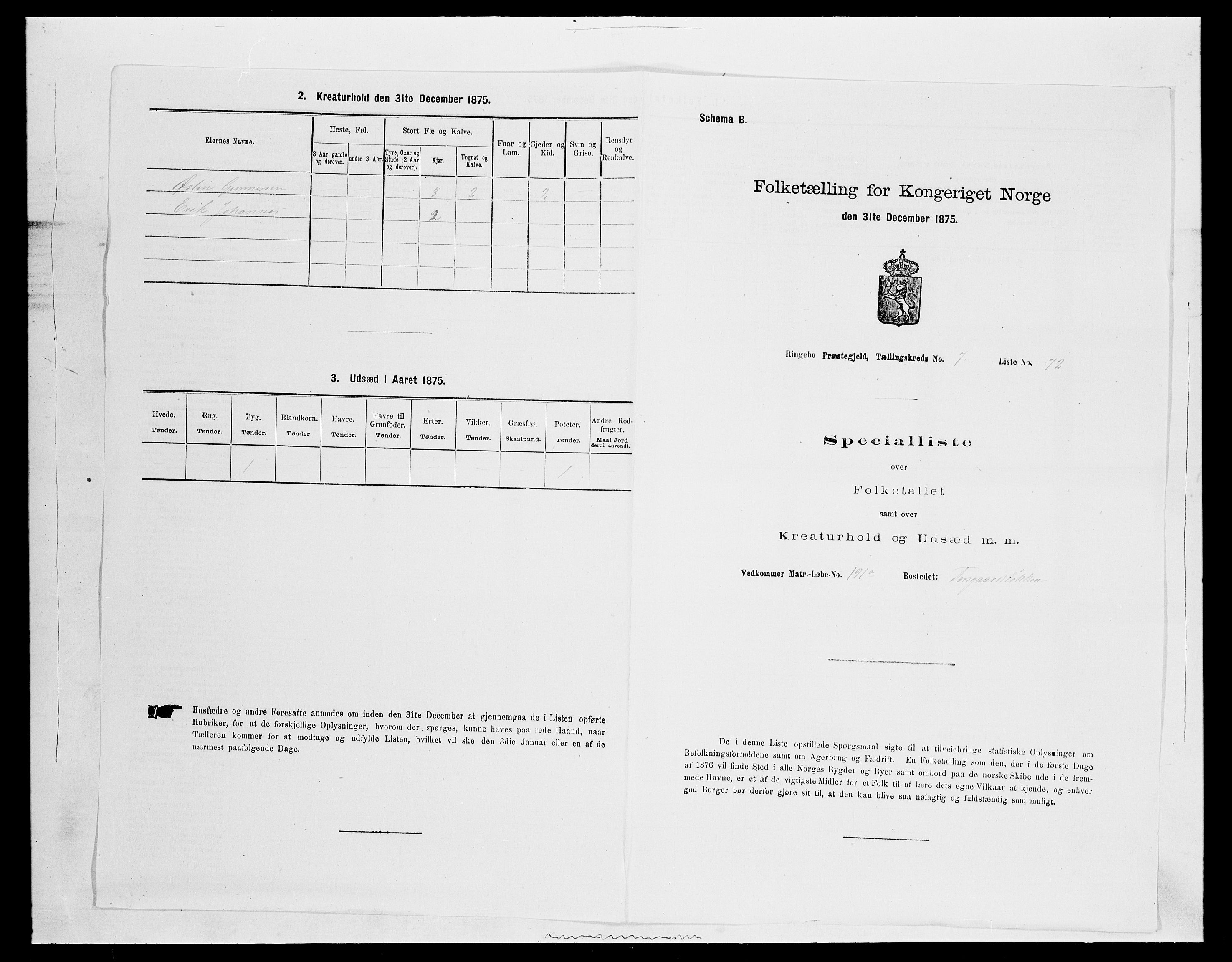 SAH, Folketelling 1875 for 0520P Ringebu prestegjeld, 1875, s. 1151