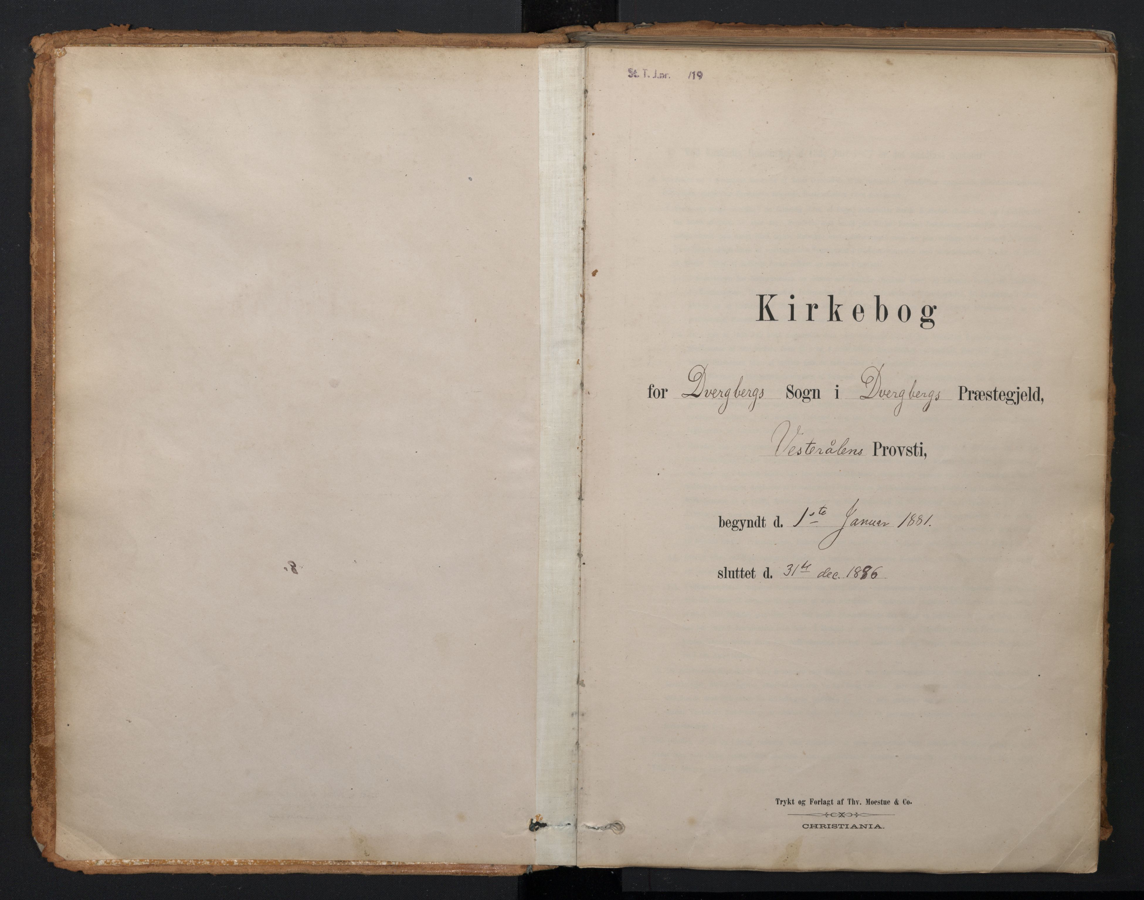 Ministerialprotokoller, klokkerbøker og fødselsregistre - Nordland, SAT/A-1459/897/L1399: Ministerialbok nr. 897A06, 1881-1896