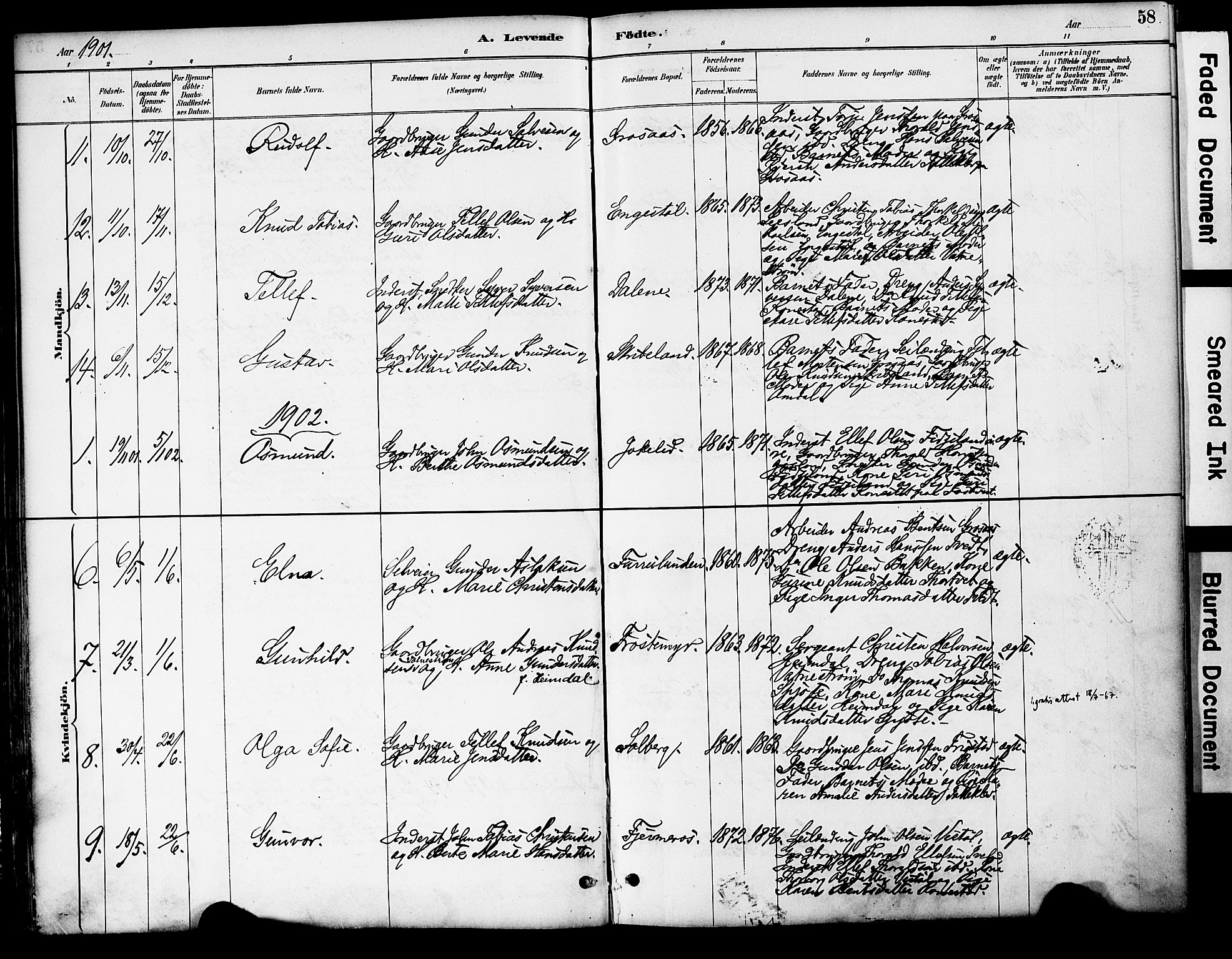 Evje sokneprestkontor, AV/SAK-1111-0008/F/Fa/Fac/L0003: Ministerialbok nr. A 3, 1884-1909, s. 58