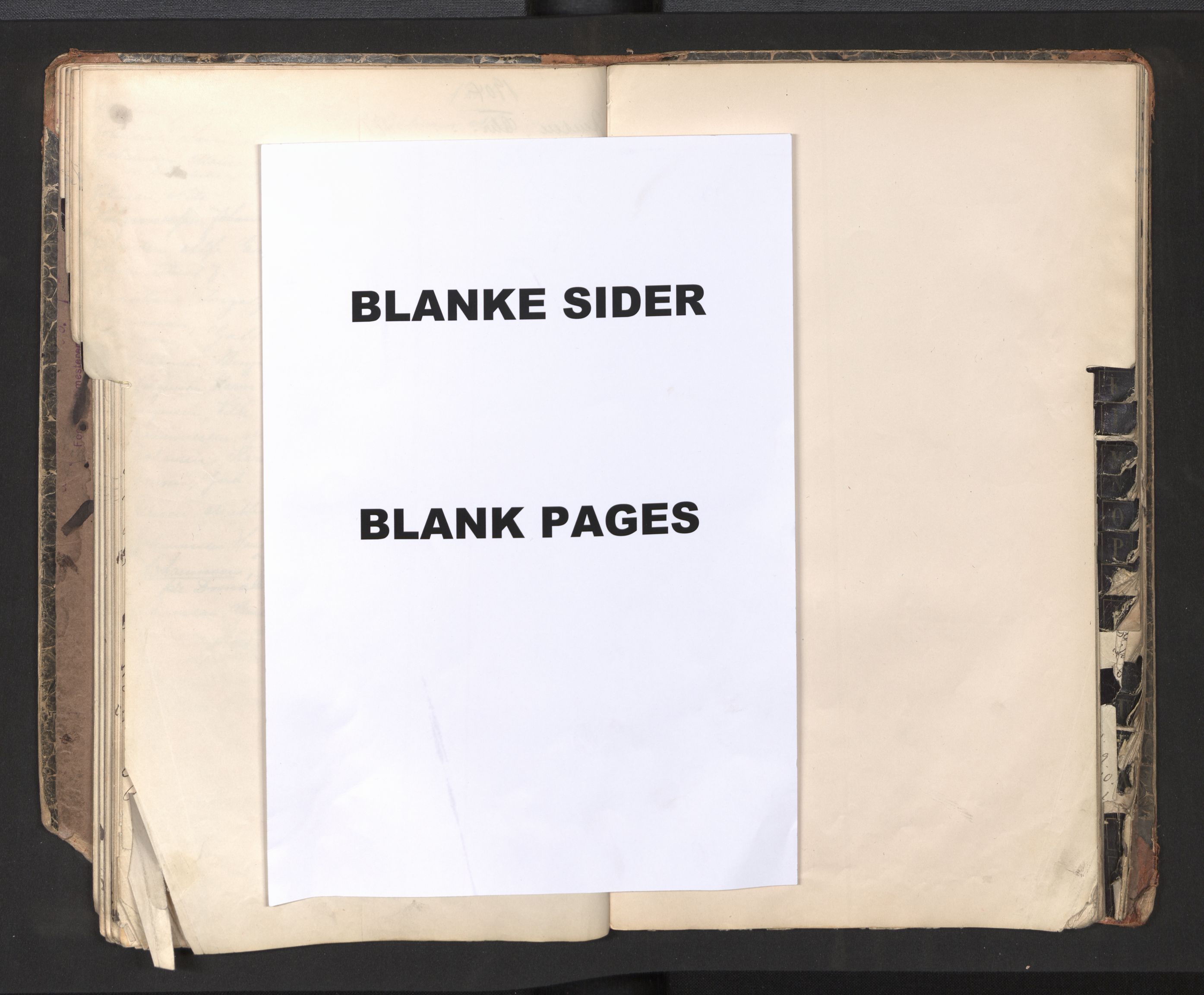 Bergen politikammer / politidistrikt, AV/SAB-A-60401/J.a/J.ac/L0001: Emigrantforbudsregister, 1894-1904