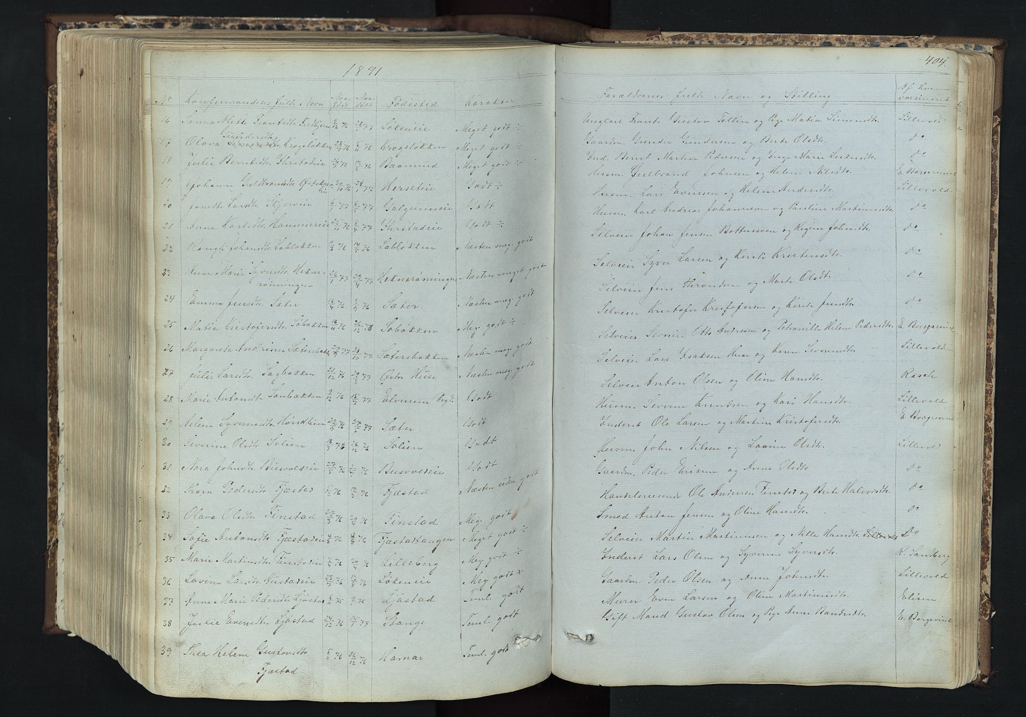 Romedal prestekontor, AV/SAH-PREST-004/L/L0011: Klokkerbok nr. 11, 1867-1895, s. 404