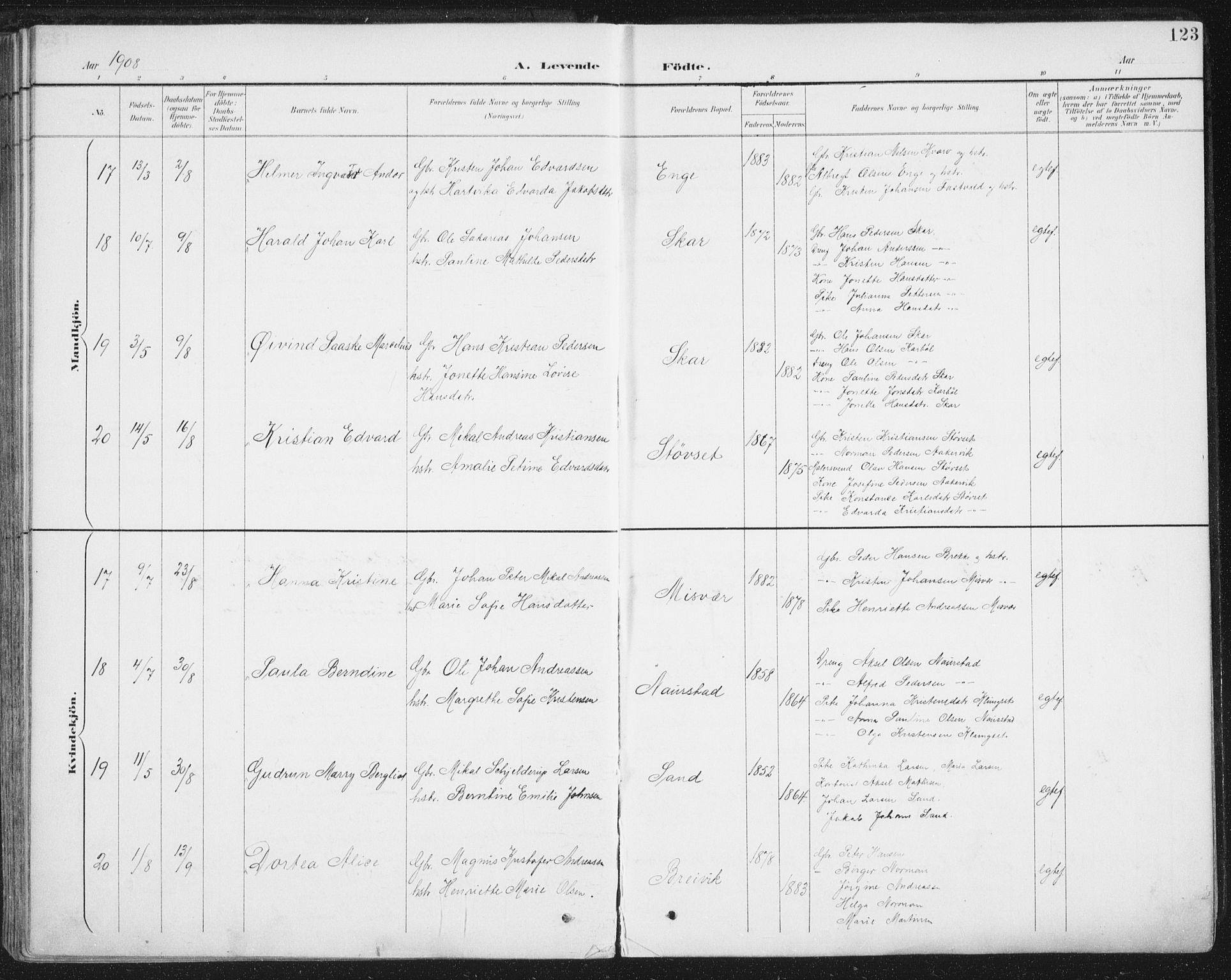 Ministerialprotokoller, klokkerbøker og fødselsregistre - Nordland, SAT/A-1459/852/L0741: Ministerialbok nr. 852A11, 1894-1917, s. 123