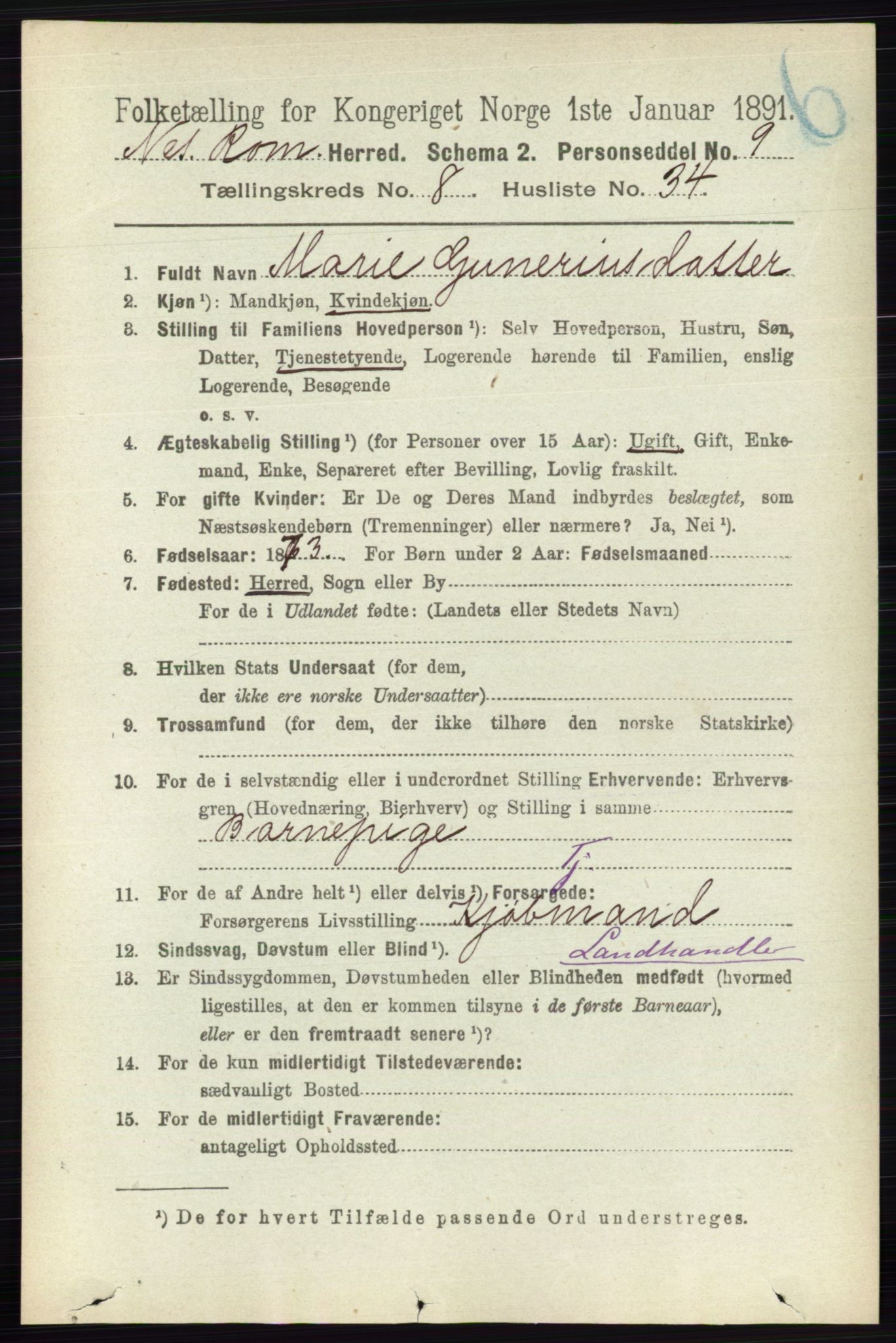 RA, Folketelling 1891 for 0236 Nes herred, 1891, s. 4821