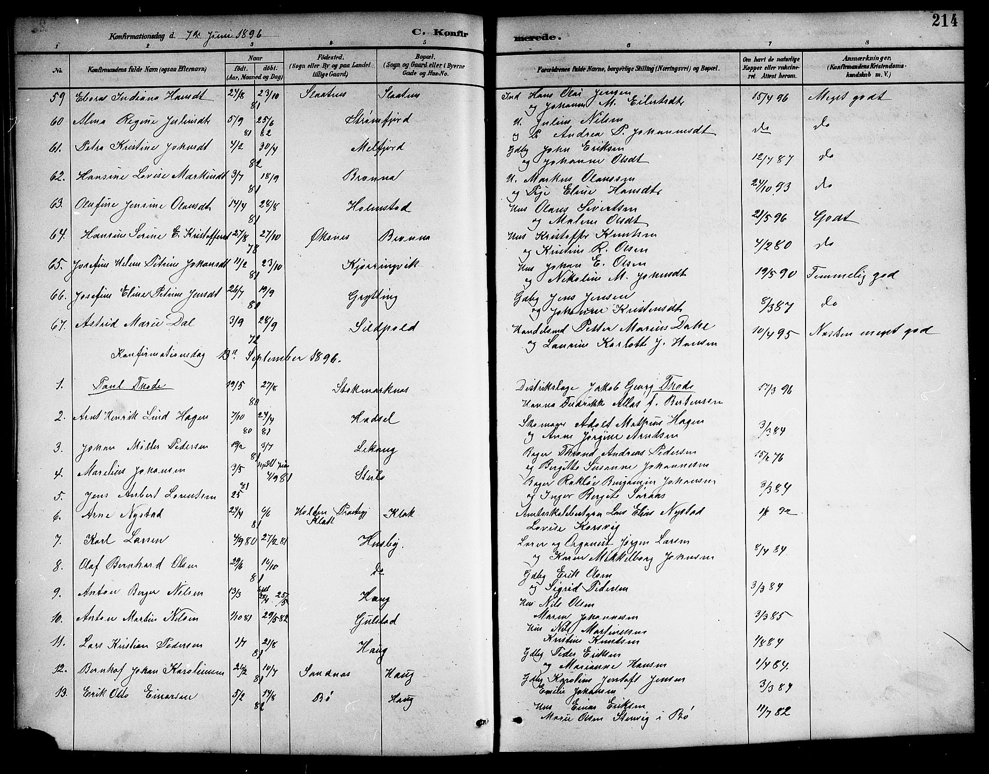 Ministerialprotokoller, klokkerbøker og fødselsregistre - Nordland, AV/SAT-A-1459/888/L1268: Klokkerbok nr. 888C06, 1891-1908, s. 214