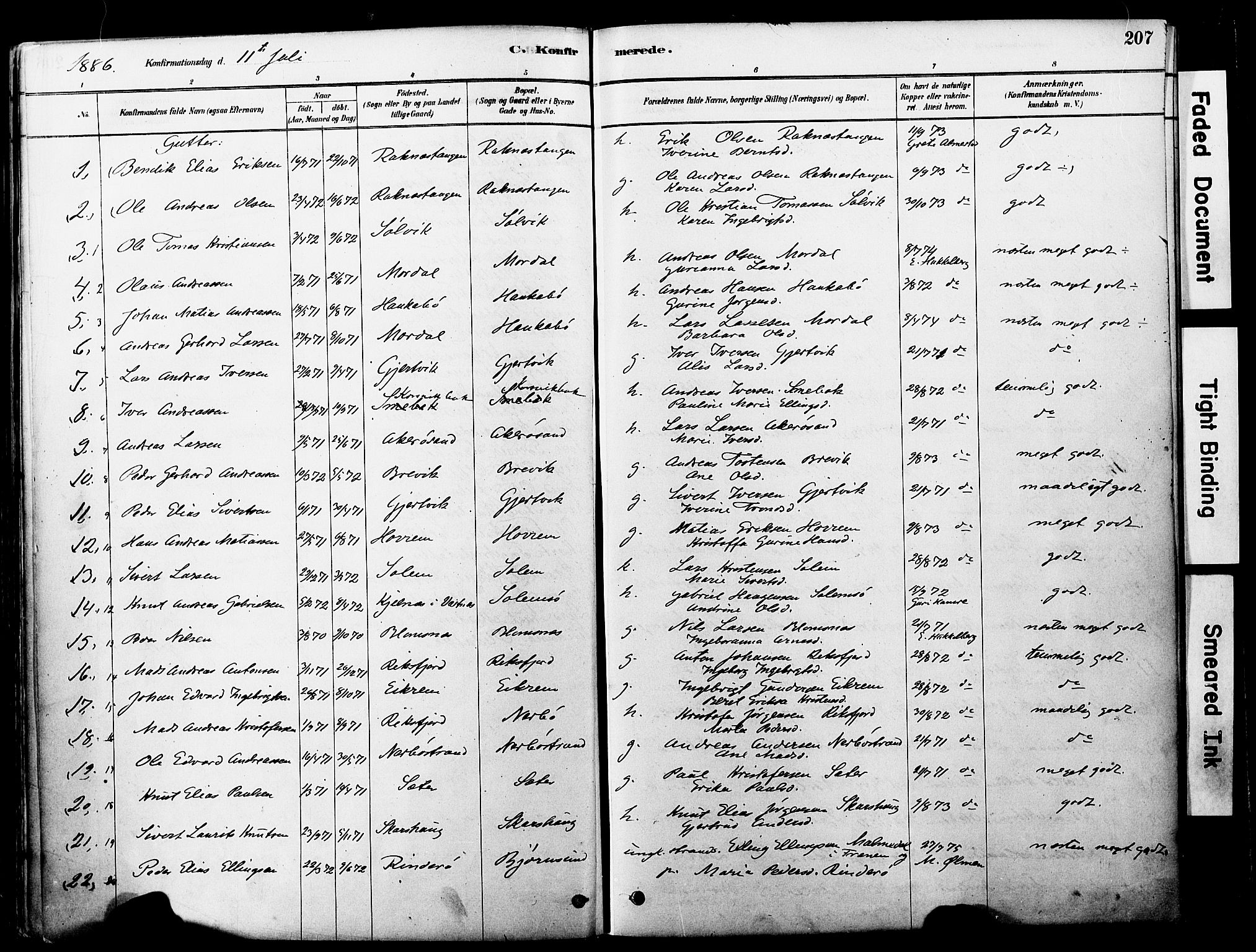 Ministerialprotokoller, klokkerbøker og fødselsregistre - Møre og Romsdal, AV/SAT-A-1454/560/L0721: Ministerialbok nr. 560A05, 1878-1917, s. 207
