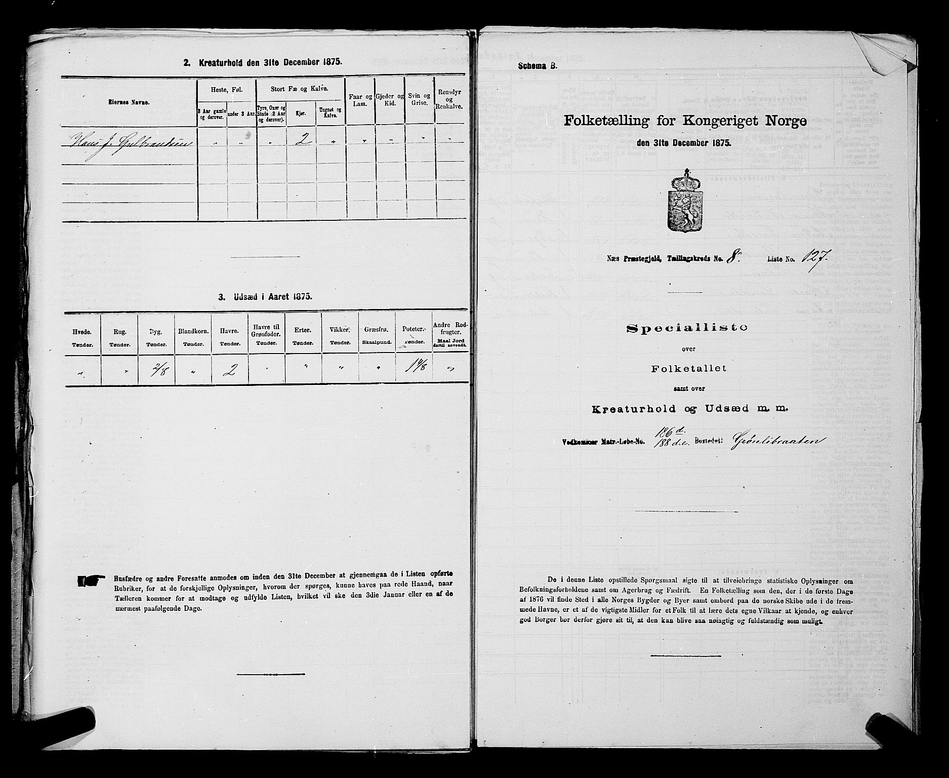 RA, Folketelling 1875 for 0236P Nes prestegjeld, 1875, s. 1485