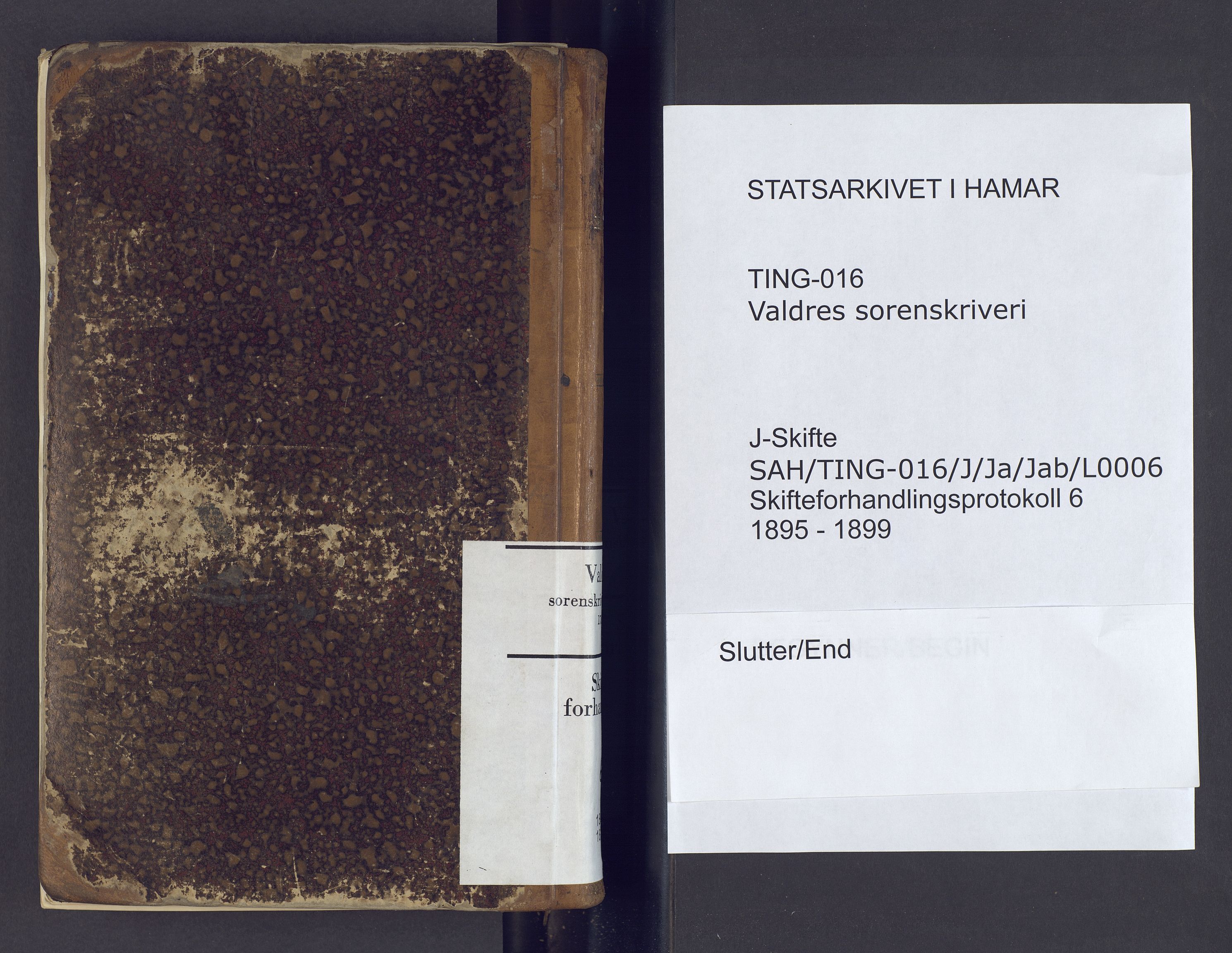 Valdres sorenskriveri, SAH/TING-016/J/Ja/Jab/L0006: Skifteforhandlingsprotokoll, 1895-1899