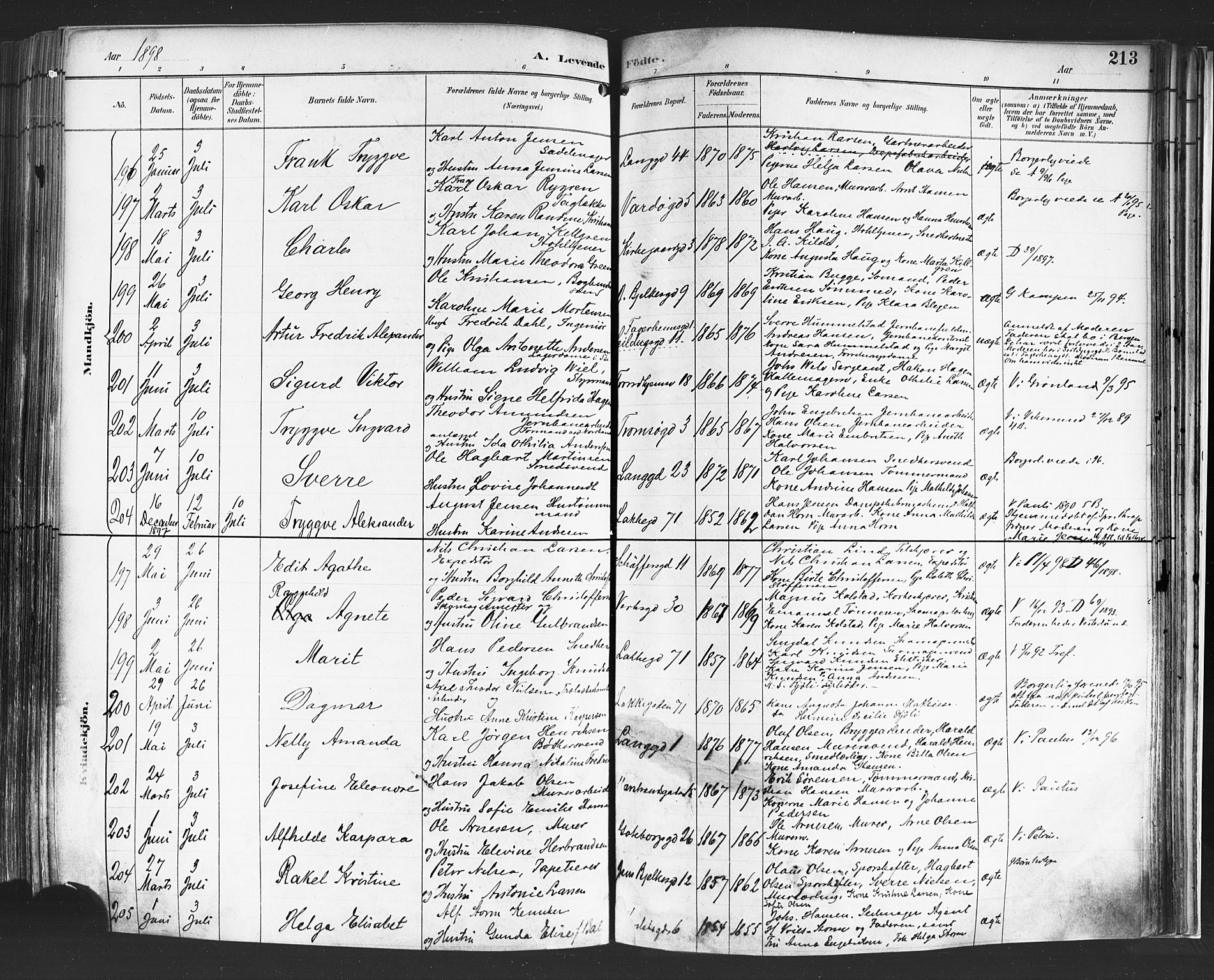 Petrus prestekontor Kirkebøker, AV/SAO-A-10872/F/Fa/L0004: Ministerialbok nr. I 4, 1888-1898, s. 213