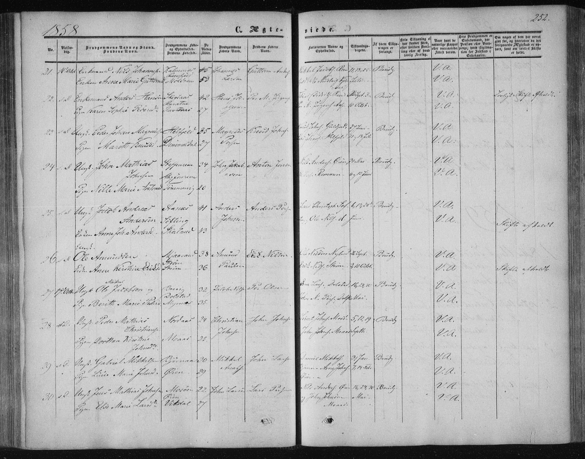 Ministerialprotokoller, klokkerbøker og fødselsregistre - Nordland, SAT/A-1459/820/L0293: Ministerialbok nr. 820A14, 1855-1865, s. 252