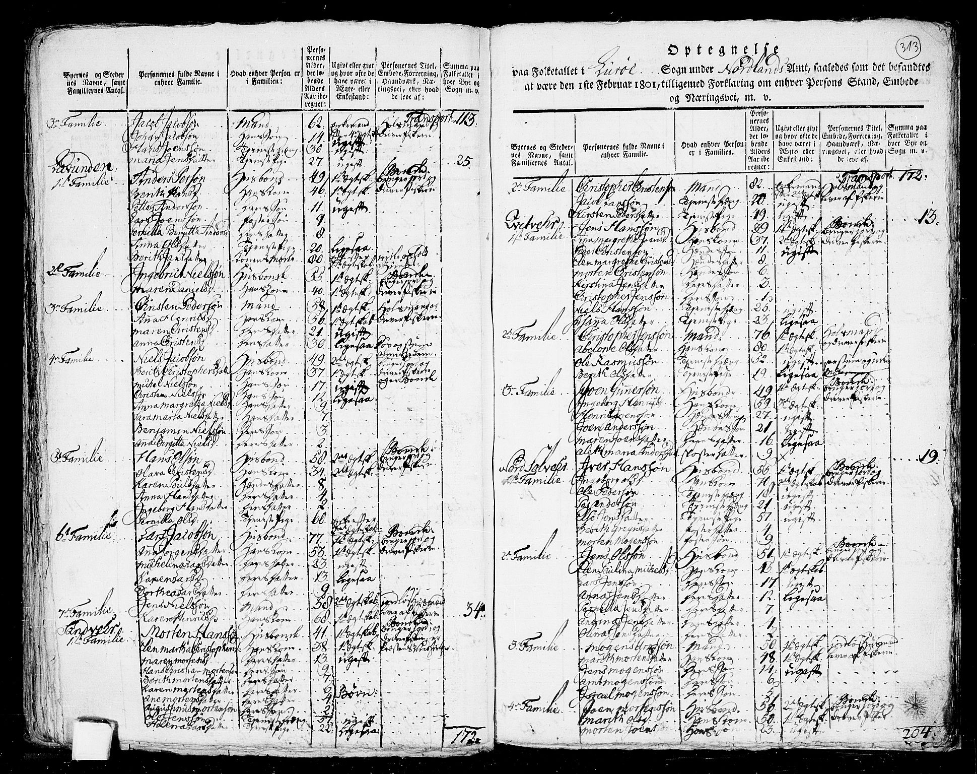 RA, Folketelling 1801 for 1836P Rødøy prestegjeld, 1801, s. 312b-313a