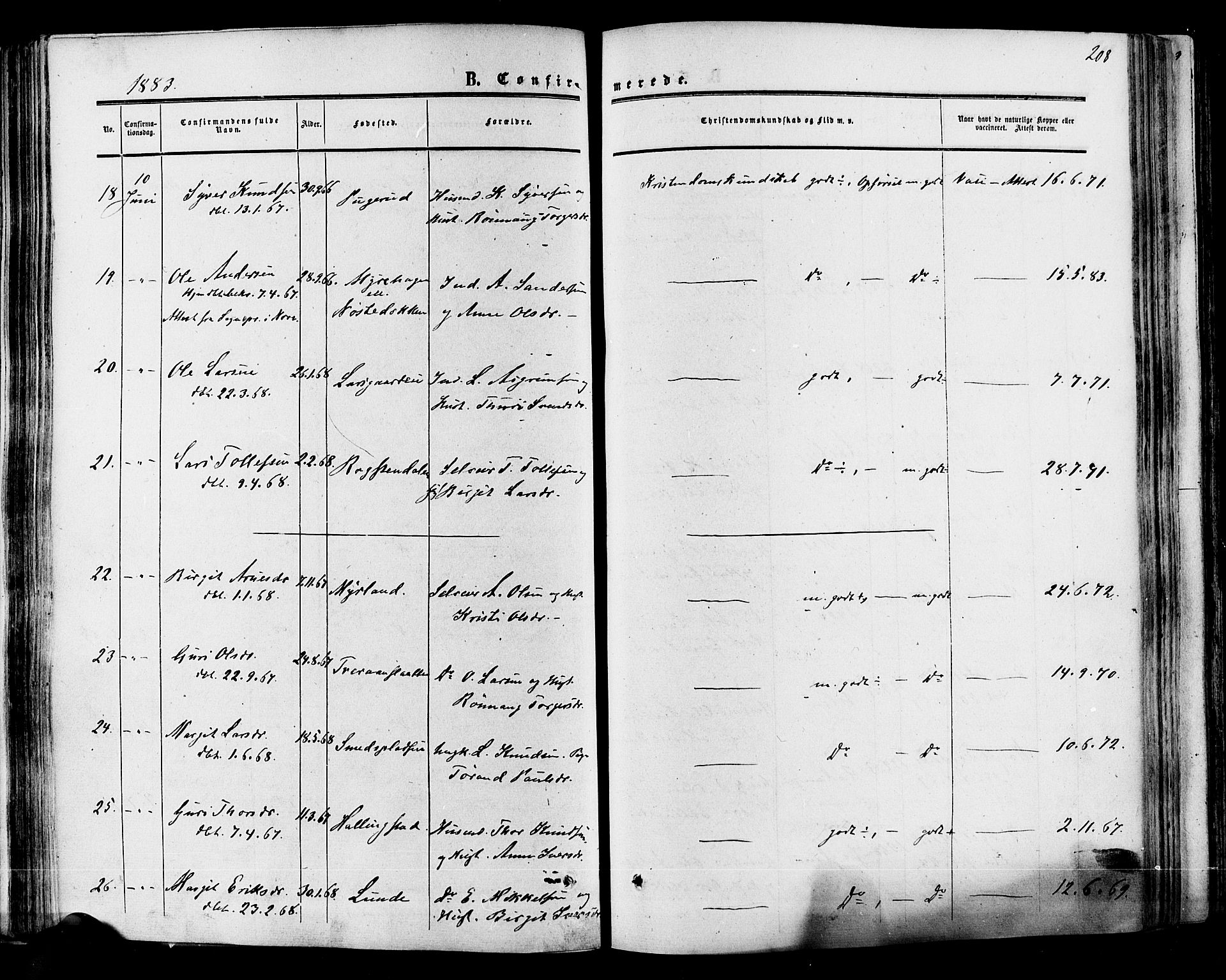 Hol kirkebøker, SAKO/A-227/F/Fa/L0002: Ministerialbok nr. I 2, 1870-1886, s. 208