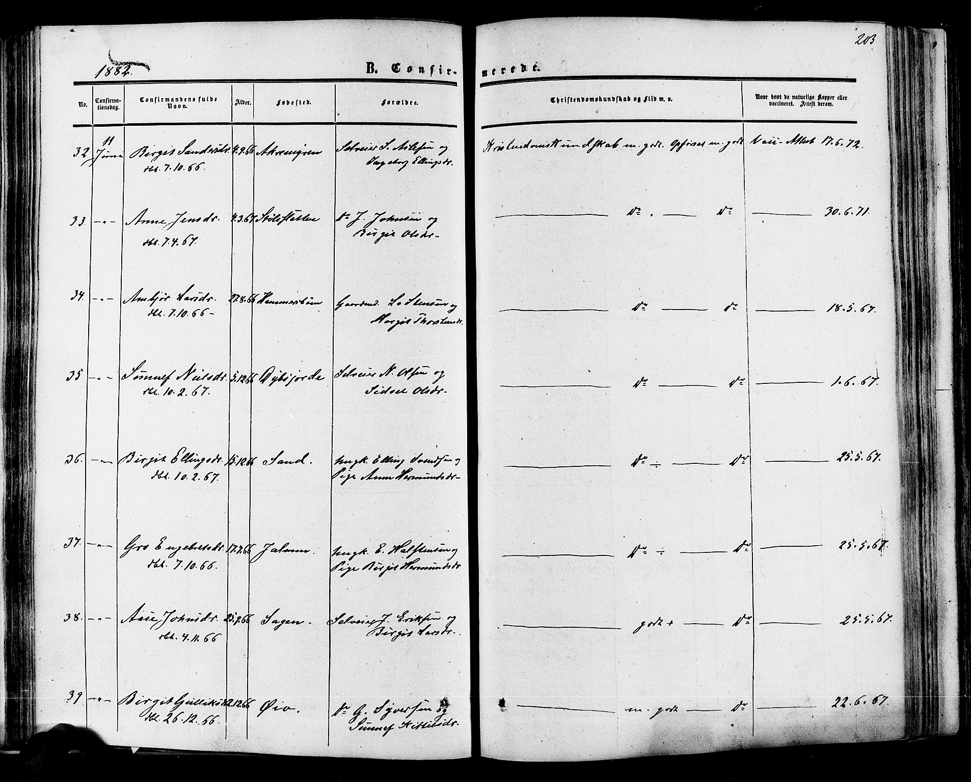 Hol kirkebøker, AV/SAKO-A-227/F/Fa/L0002: Ministerialbok nr. I 2, 1870-1886, s. 203