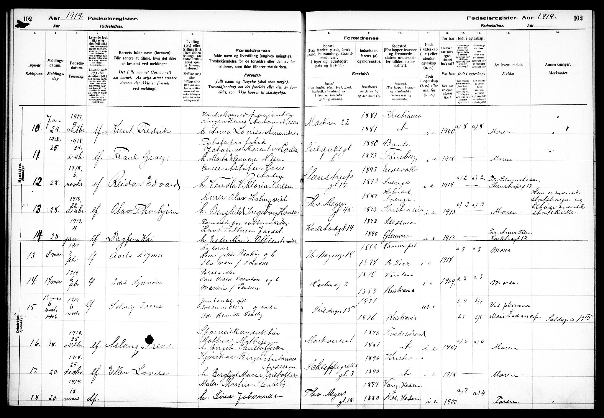 Paulus prestekontor Kirkebøker, AV/SAO-A-10871/J/Ja/L0001: Fødselsregister nr. 1, 1916-1923, s. 102