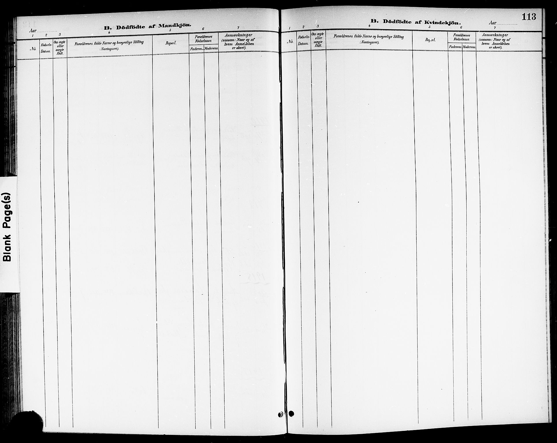 Brunlanes kirkebøker, SAKO/A-342/G/Ga/L0004: Klokkerbok nr. I 4, 1898-1921, s. 113