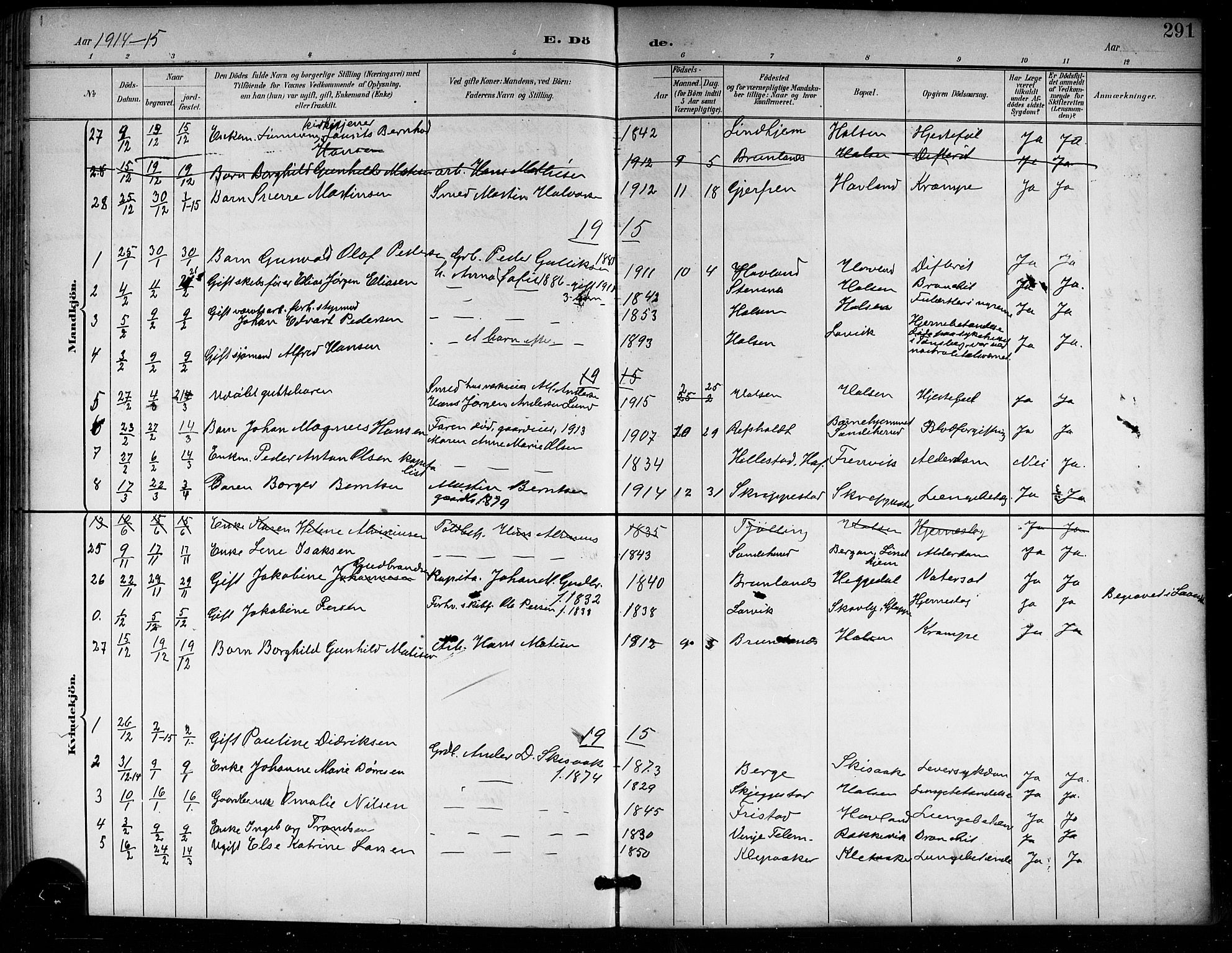Tjølling kirkebøker, AV/SAKO-A-60/G/Ga/L0002: Klokkerbok nr. 2, 1895-1918, s. 291