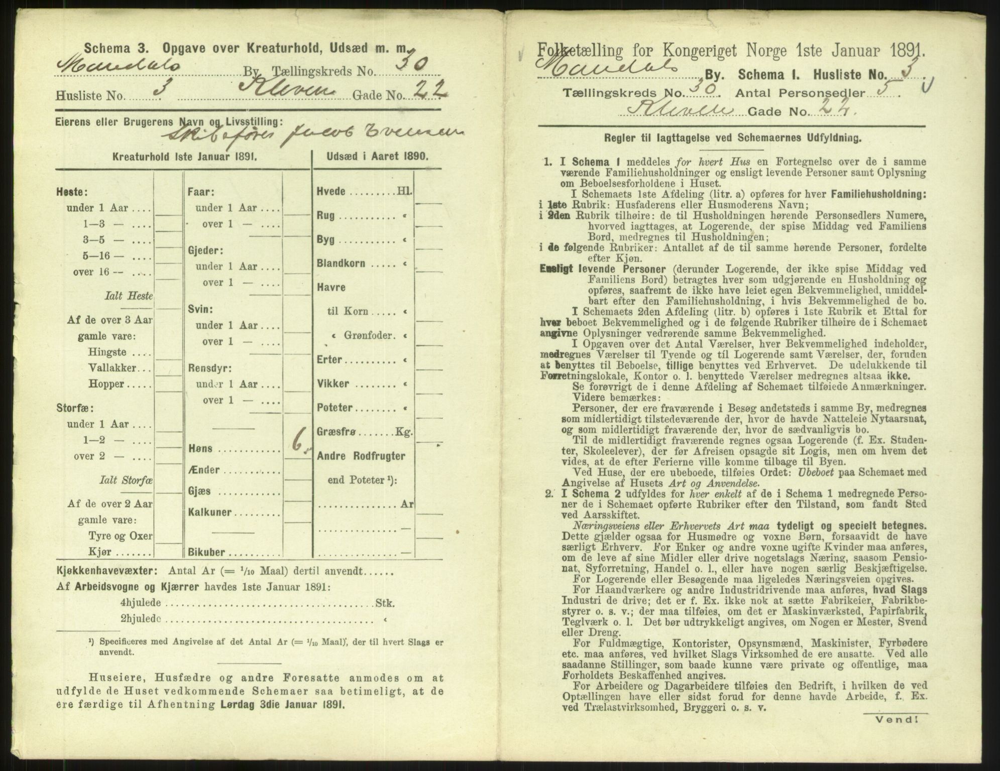 RA, Folketelling 1891 for 1002 Mandal ladested, 1891, s. 1351