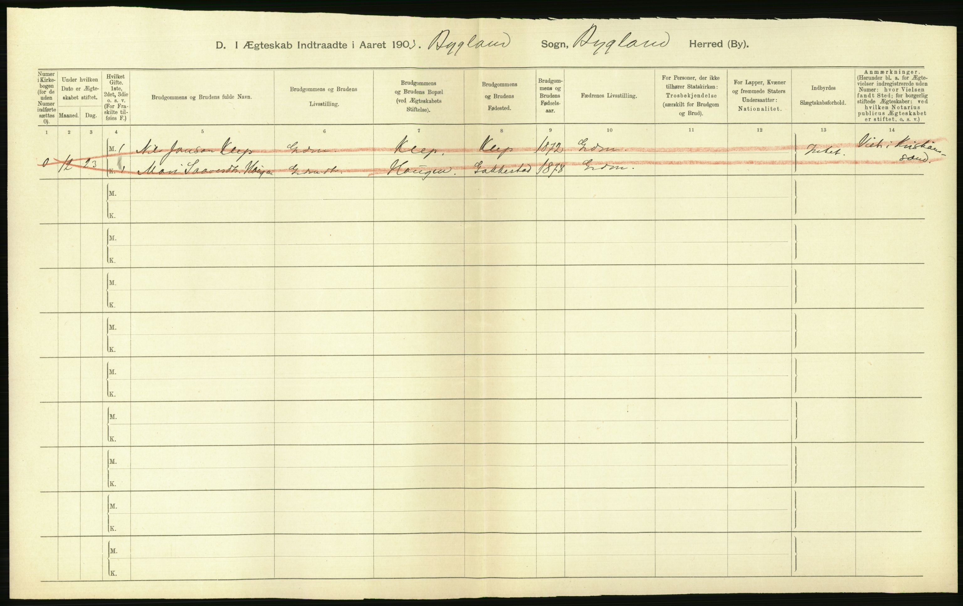 Statistisk sentralbyrå, Sosiodemografiske emner, Befolkning, AV/RA-S-2228/D/Df/Dfa/Dfaa/L0010: Nedenes amt: Fødte, gifte, døde, 1903, s. 264