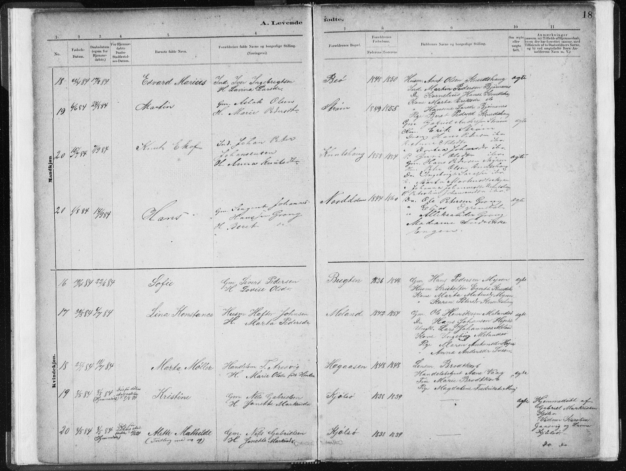 Ministerialprotokoller, klokkerbøker og fødselsregistre - Sør-Trøndelag, SAT/A-1456/634/L0533: Ministerialbok nr. 634A09, 1882-1901, s. 18