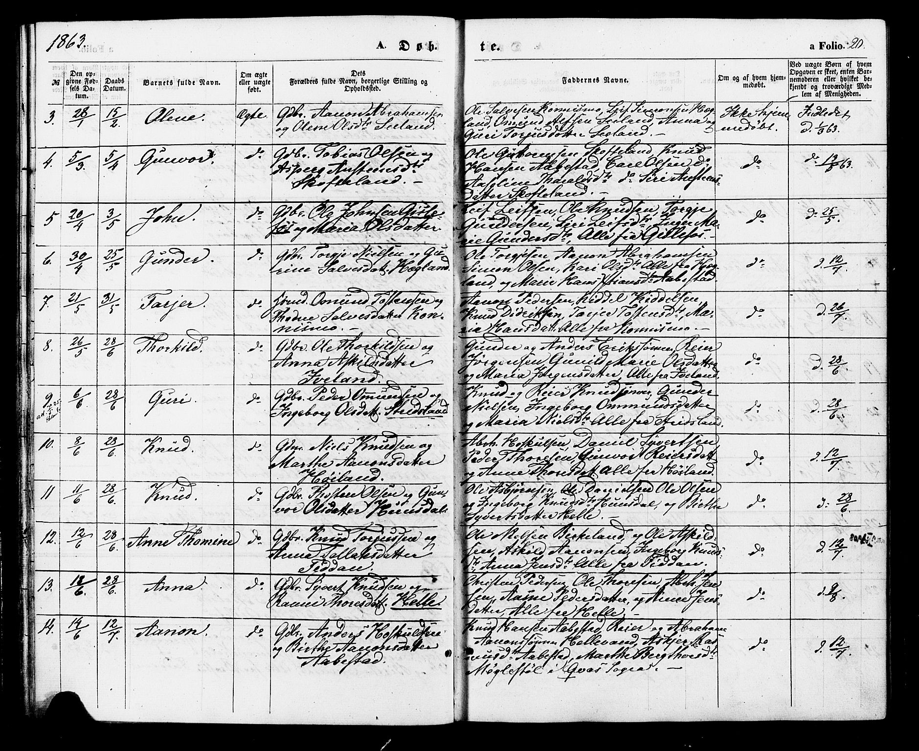 Nord-Audnedal sokneprestkontor, AV/SAK-1111-0032/F/Fa/Faa/L0002: Ministerialbok nr. A 2, 1857-1882, s. 20