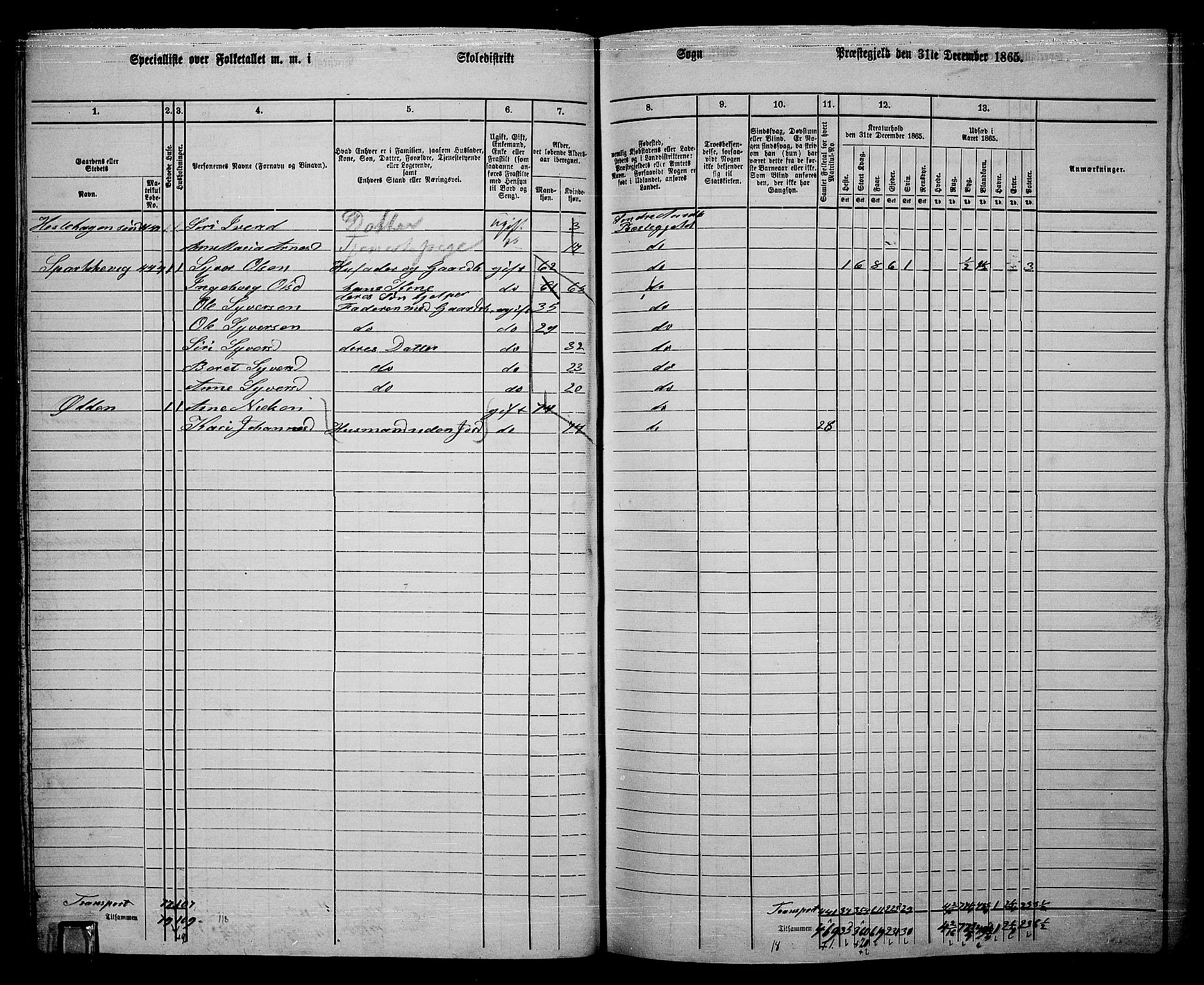 RA, Folketelling 1865 for 0540P Sør-Aurdal prestegjeld, 1865, s. 65