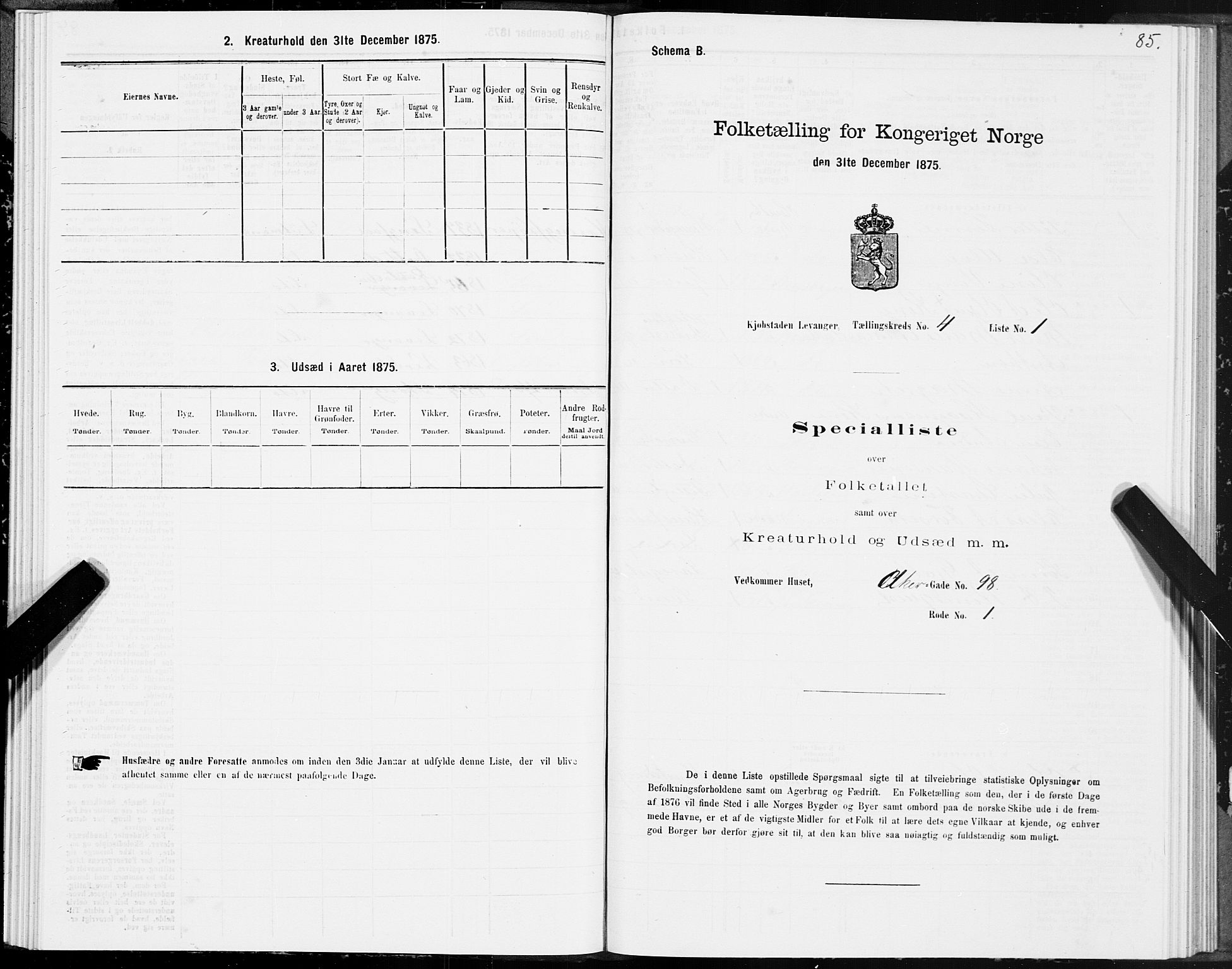 SAT, Folketelling 1875 for 1701B Levanger prestegjeld, Levanger kjøpstad, 1875, s. 85