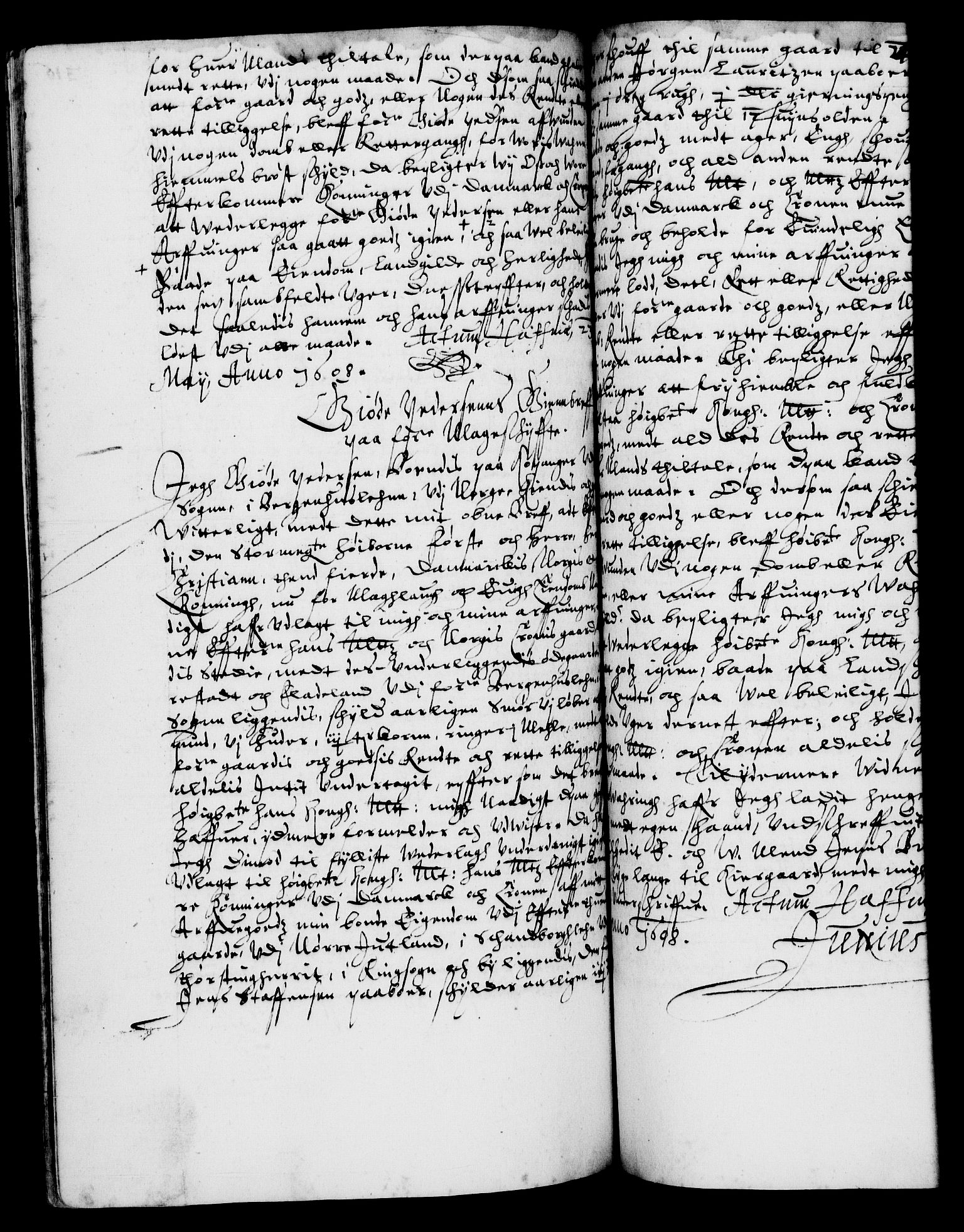 Danske Kanselli 1572-1799, AV/RA-EA-3023/F/Fc/Fca/Fcaa/L0003: Norske registre (mikrofilm), 1596-1616, s. 316b